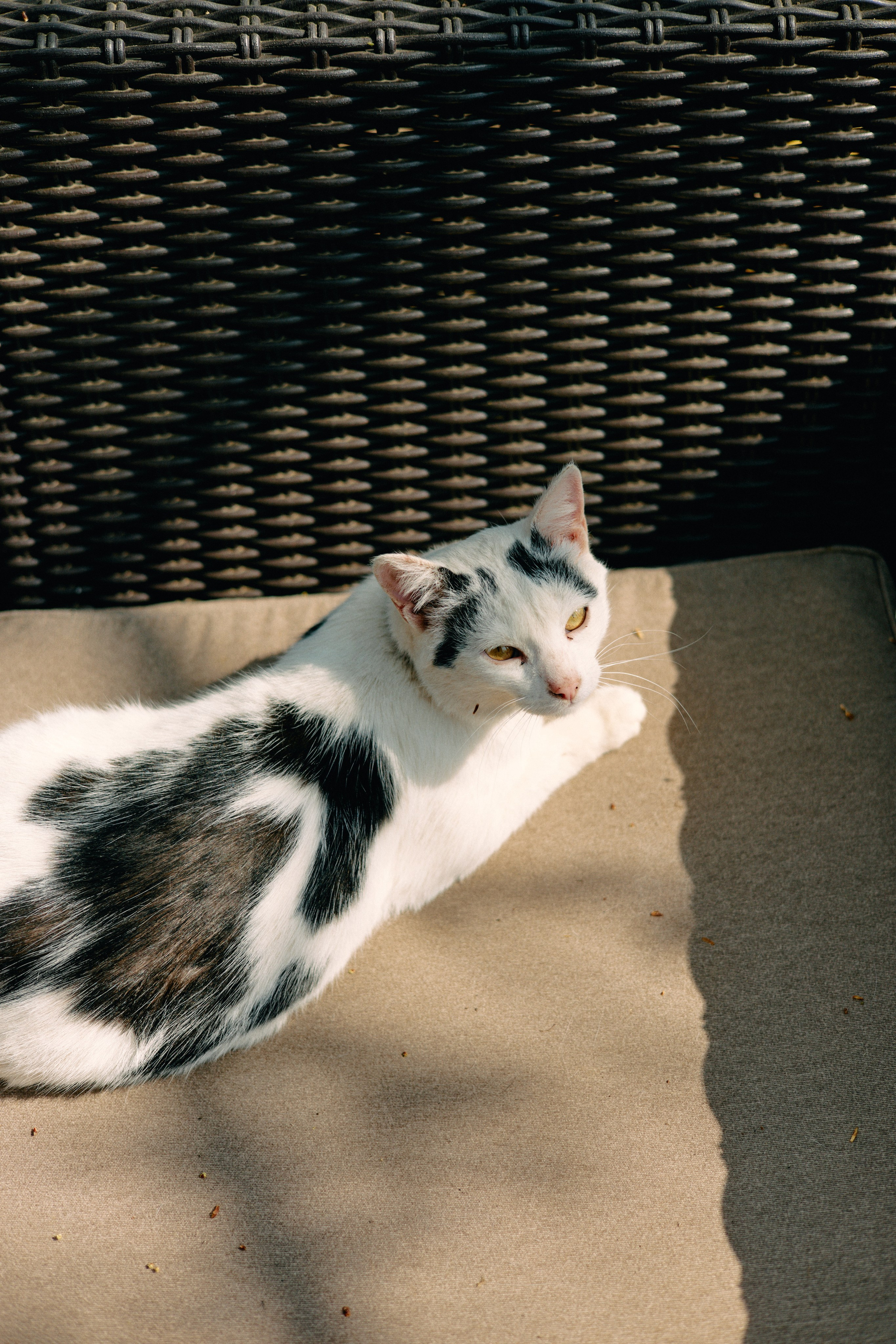 Бутик-отель Поле летом. Профессиональный Фотограф во Владимире, в Москве и в Суздале — Полина Романычева