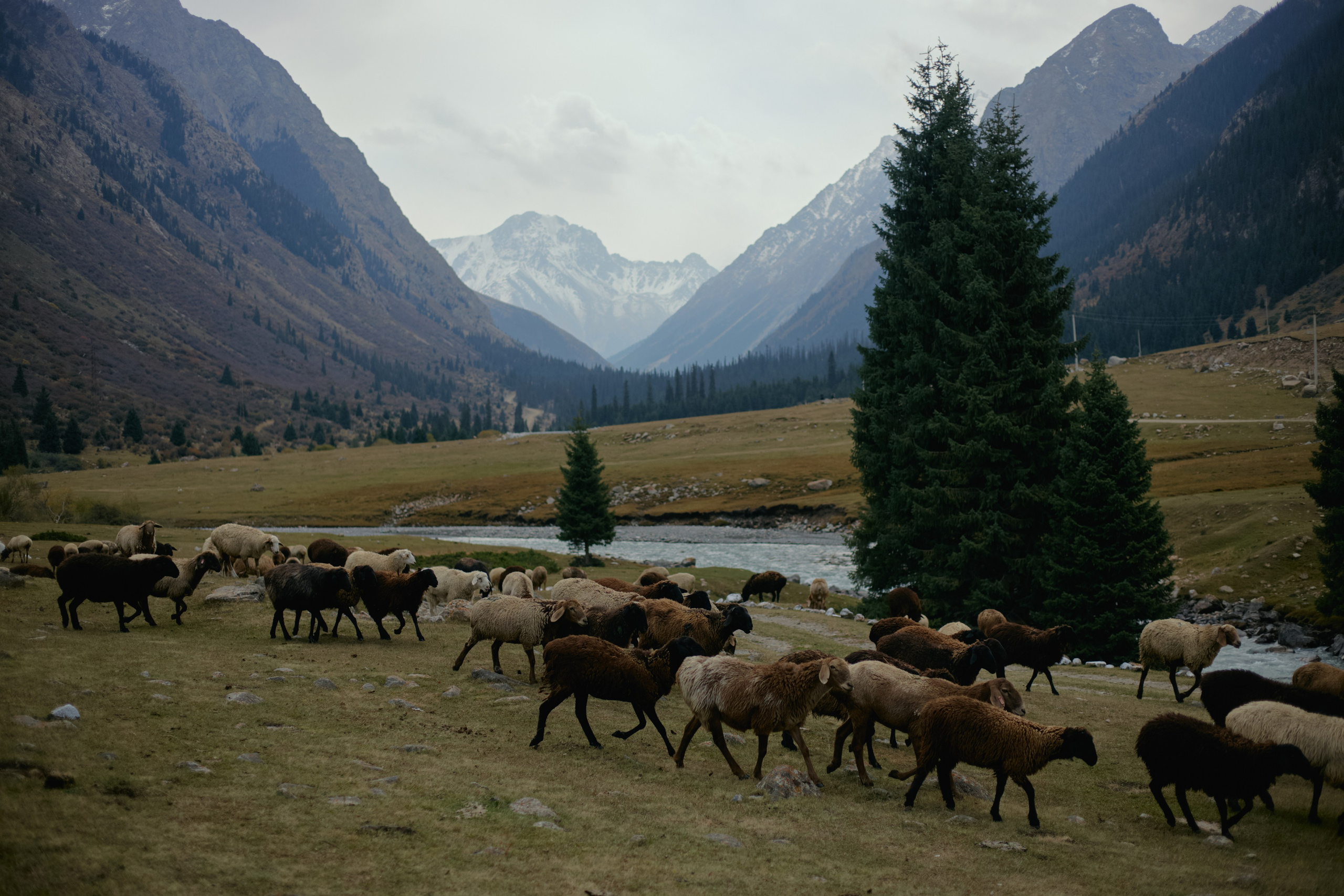 Кыргызтан. Профессиональный Фотограф во Владимире, в Москве и в Суздале — Полина Романычева