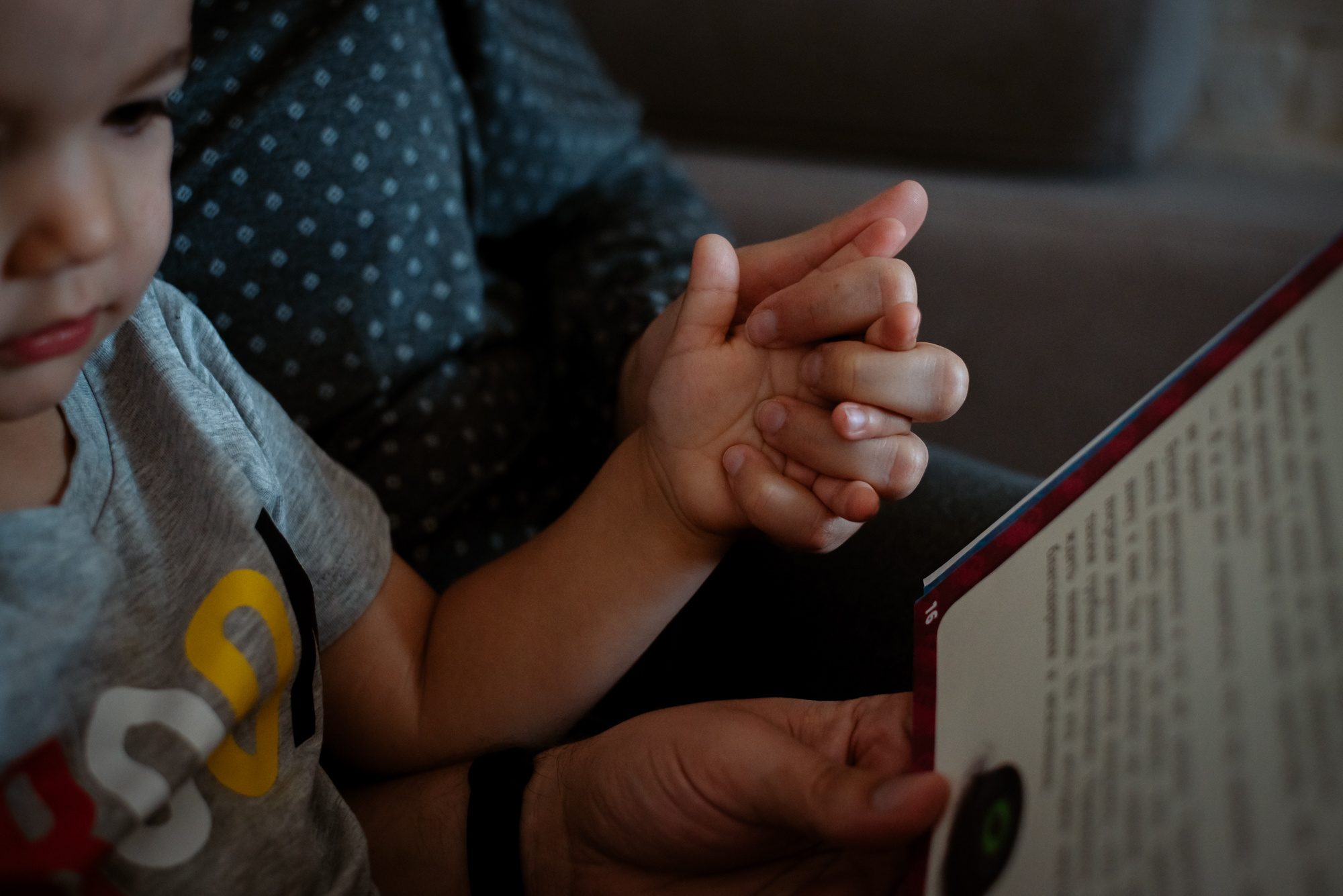 Когда уже 2 года!. Семейный фотограф в г.Москве Катя Норм