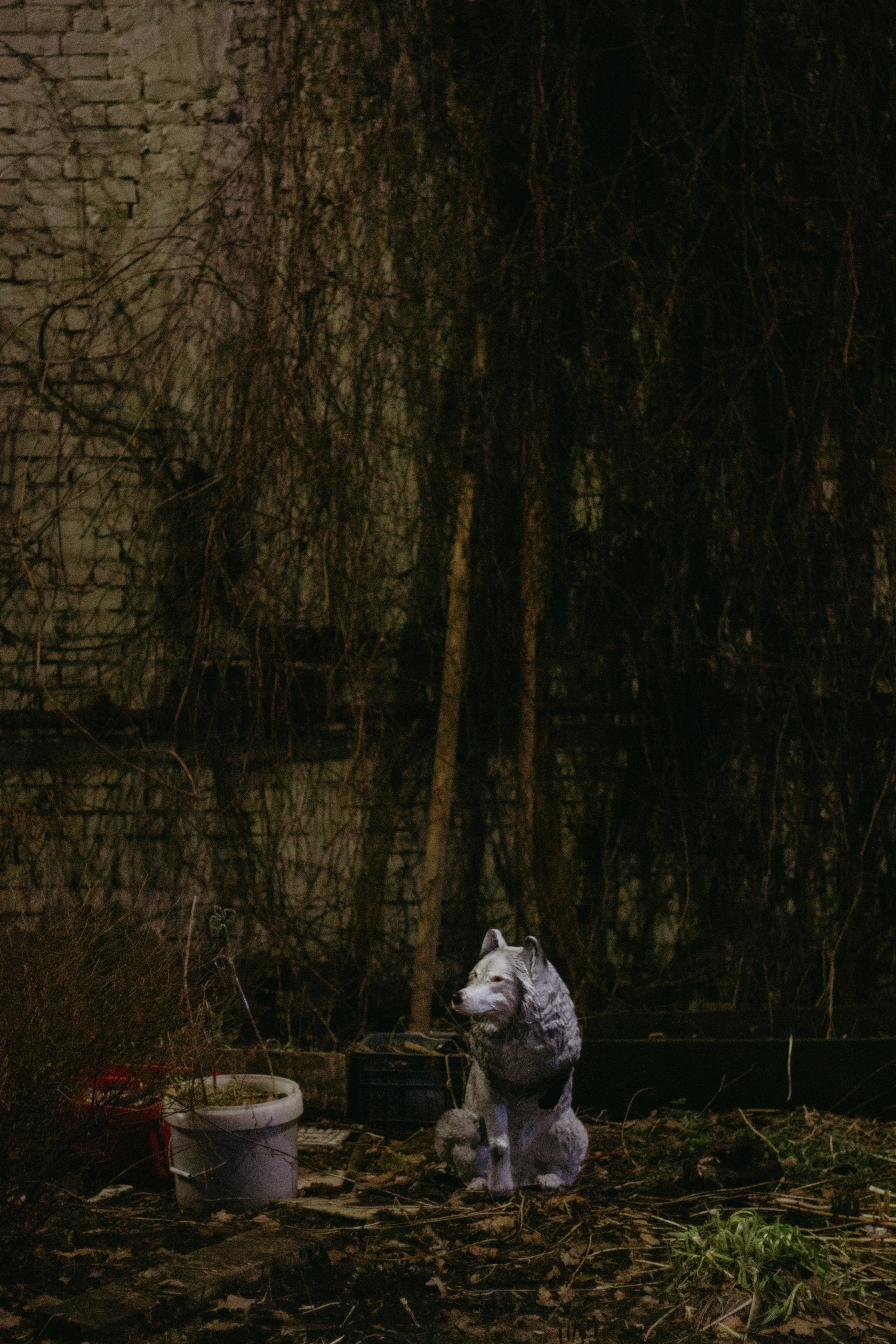 Середина нигде. Варвара Бабёнышева