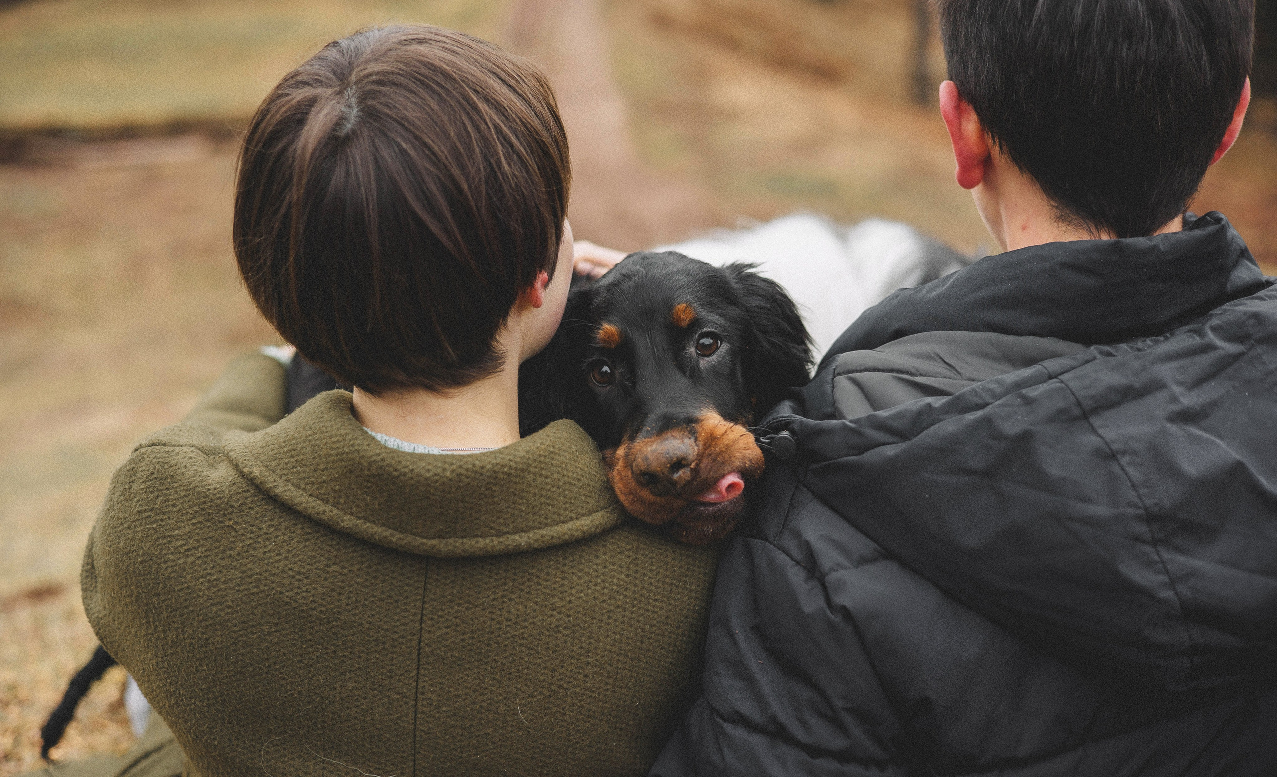 Даша, Глеб, Барс и Бруно. Фотограф-анималист Богданова Полина