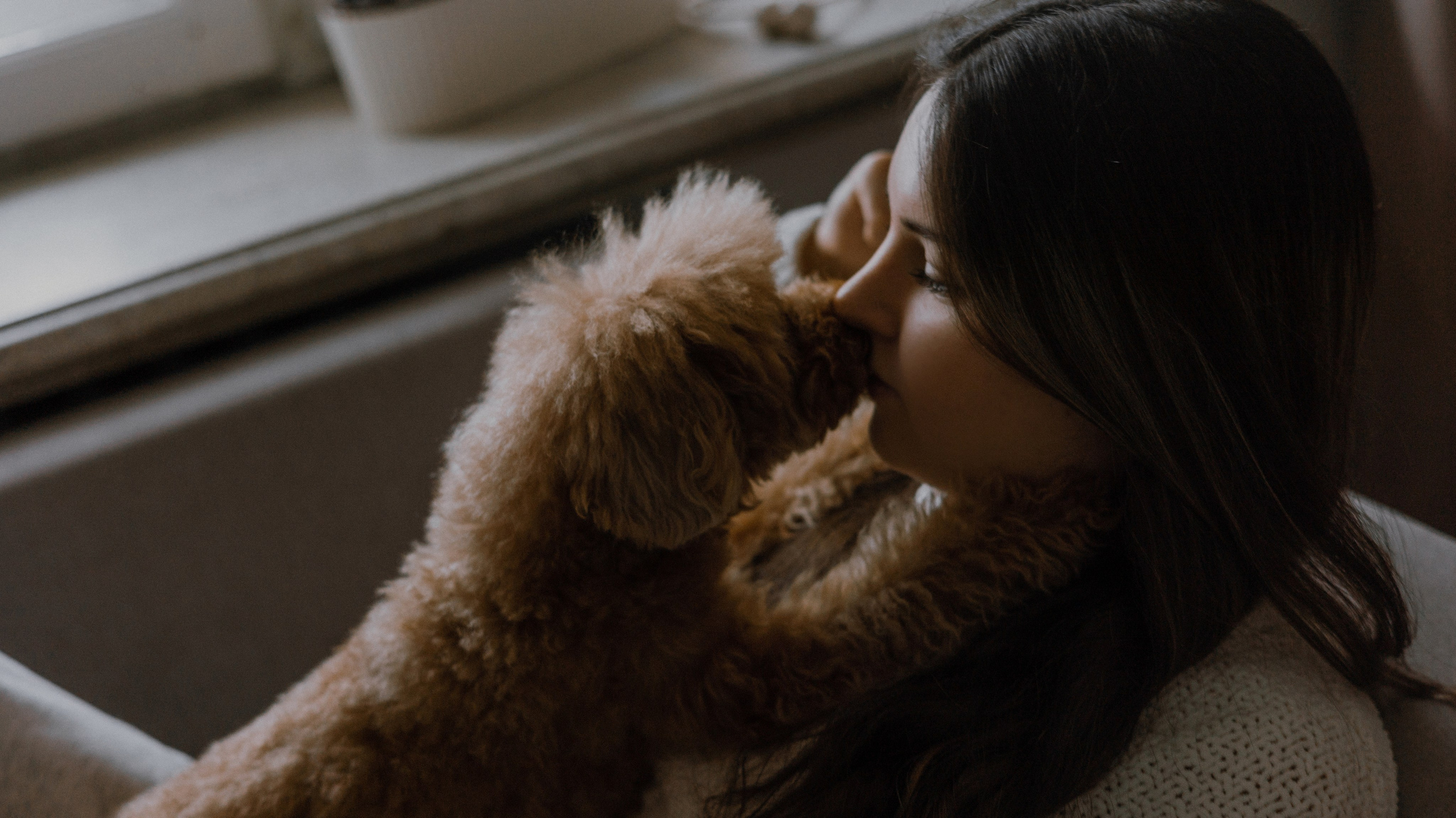 Маша, Одди и Нэвил. Фотограф-анималист Богданова Полина
