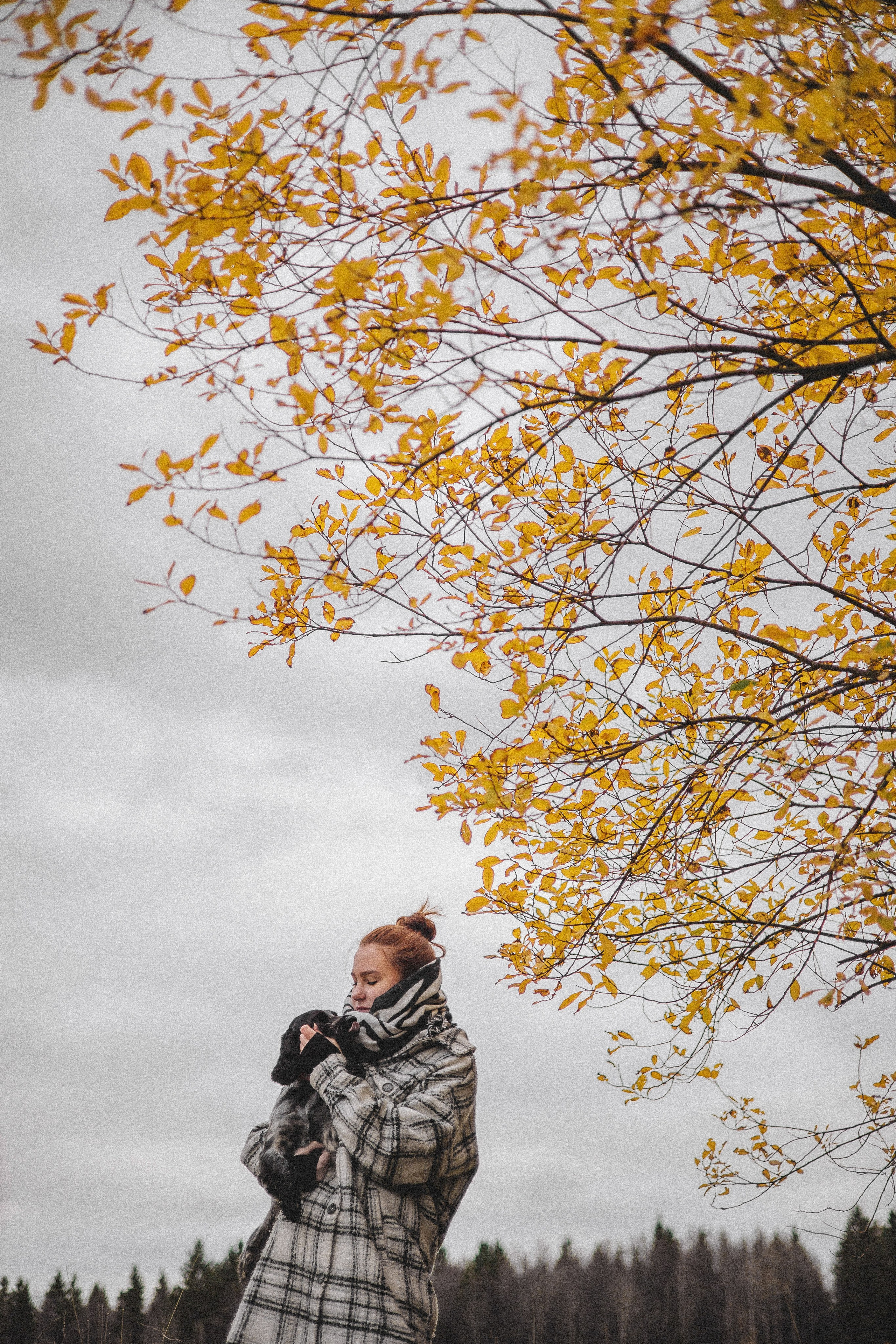 Вика и Ава. Фотограф-анималист Богданова Полина