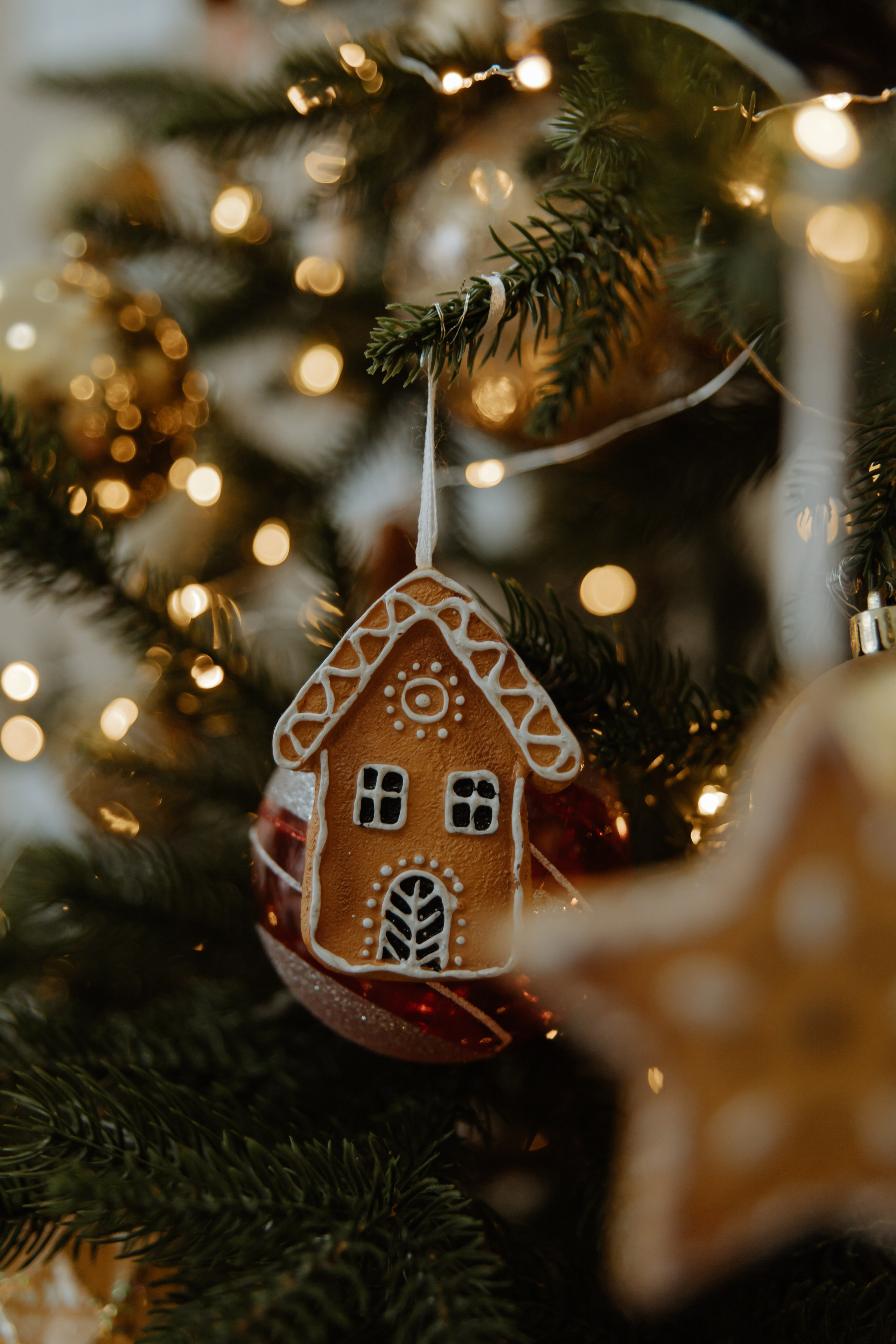 Съемка для семьи Азамата и Дины. Фотограф / Свадебный фотограф МОСКВА, КОММУНАРКА, КОВРОВ