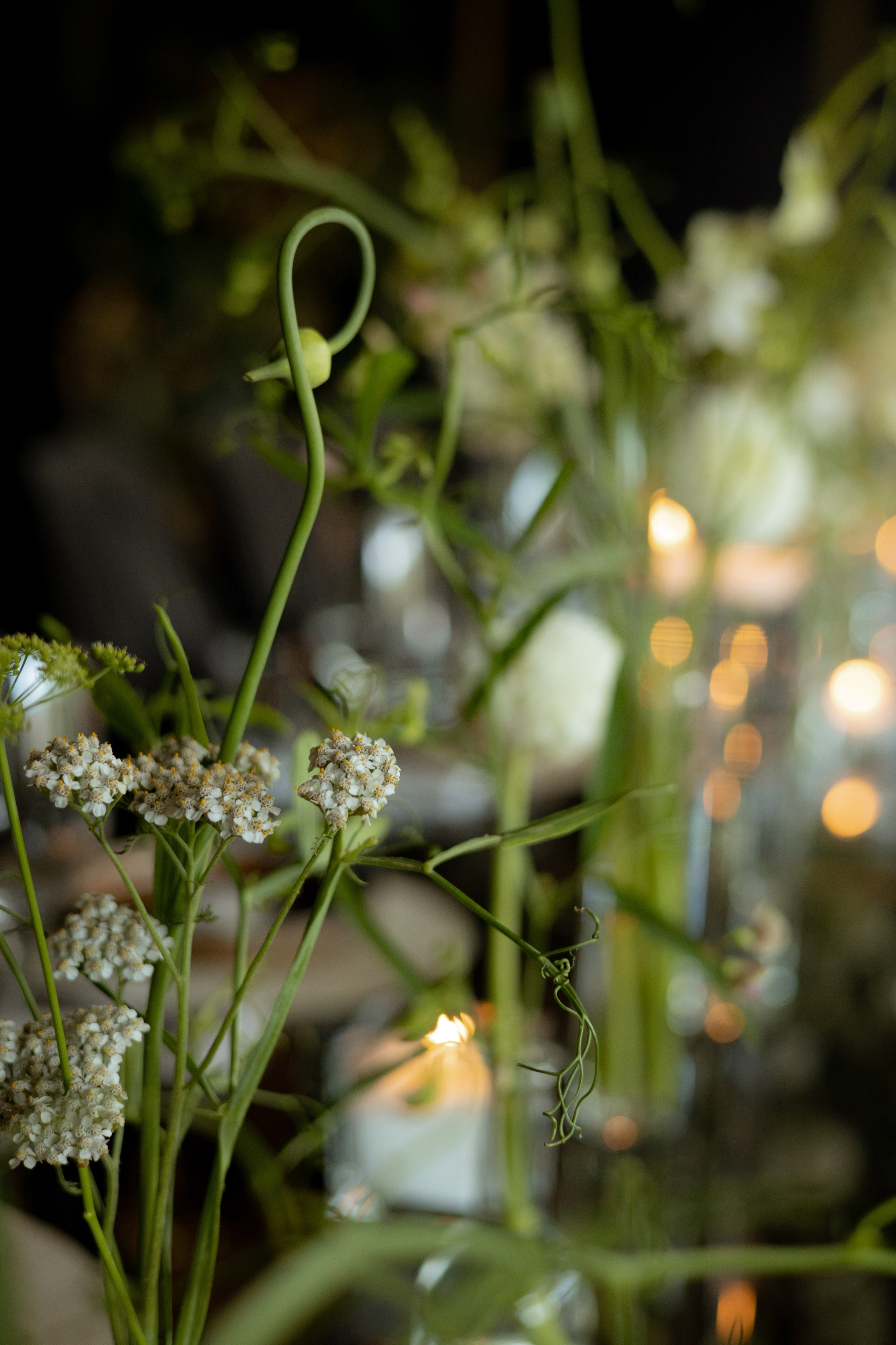 Алина & Николай. Оформление свадеб, декор свадеб Вера Маркова, Москва