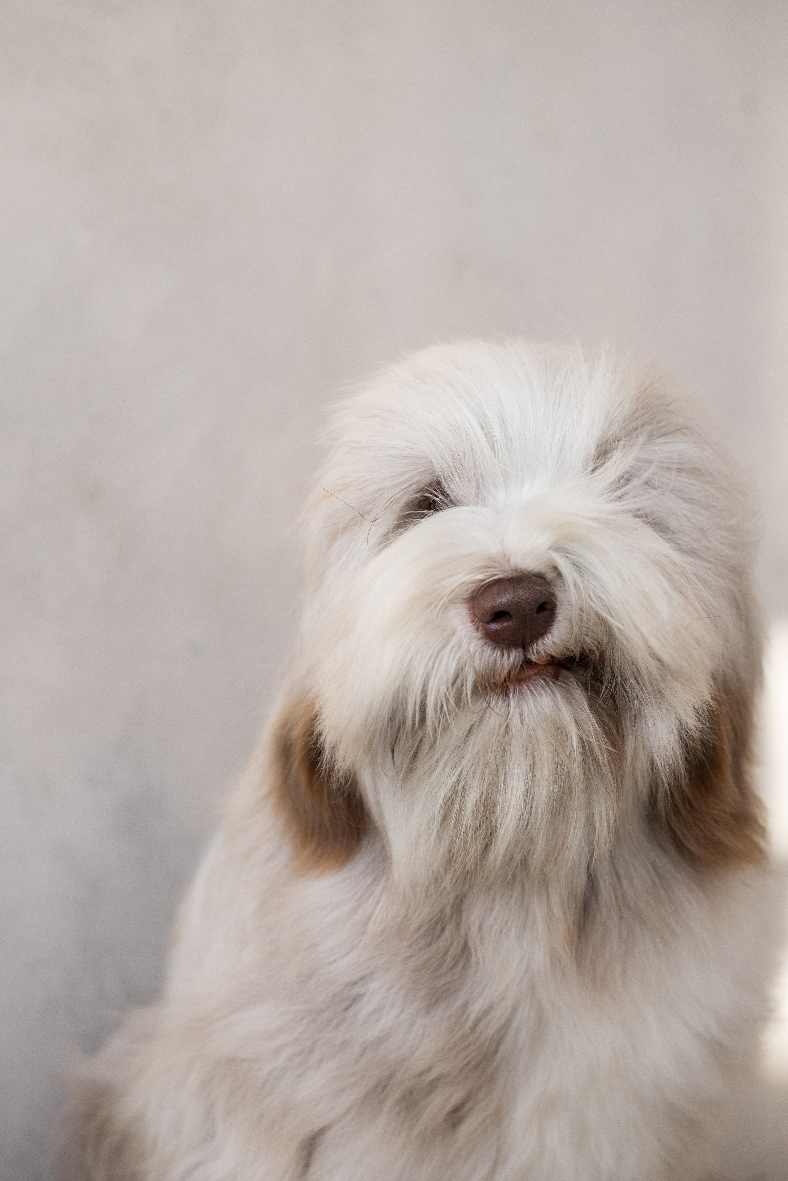 Портфолио. Фотограф-анималист в Екатеринбурге Марина Шишкина