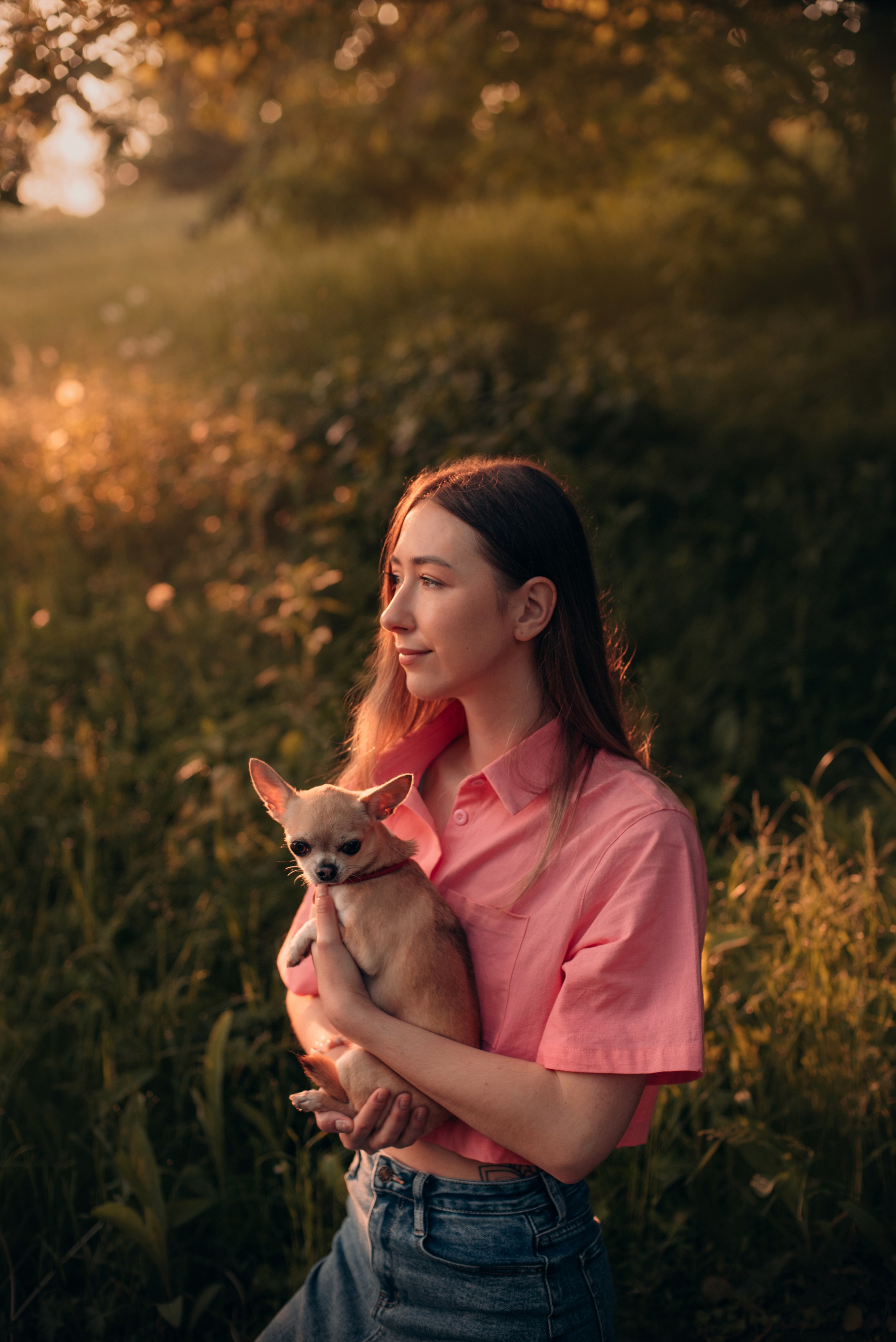 Прогулка: чихуахуа Хенни и Алина во Владивостоке. Портфолио