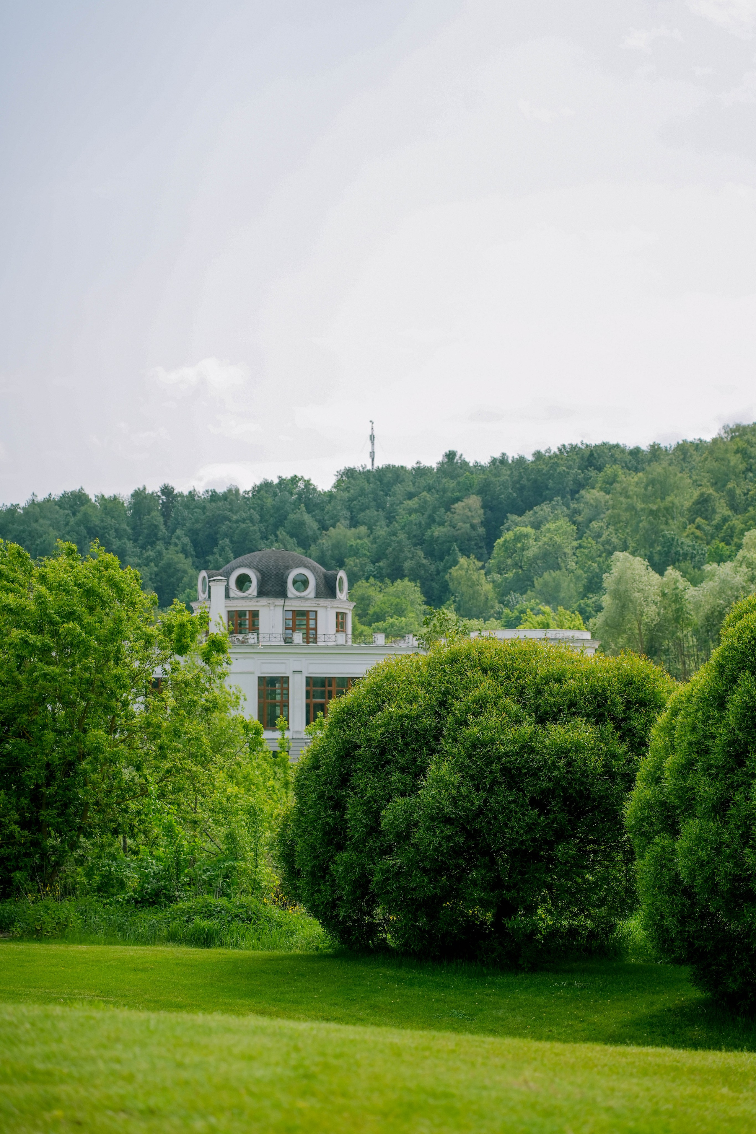 RGA Kids. Andrew firioubine • iamfirioubine