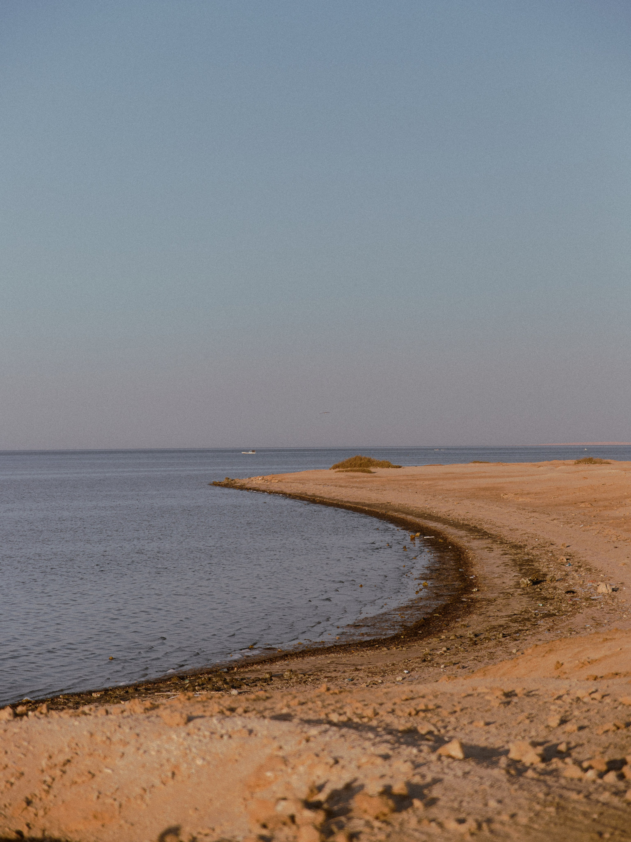 Улицы. Jorgis Talè — photographer, kind person, teacher of arts and other mag