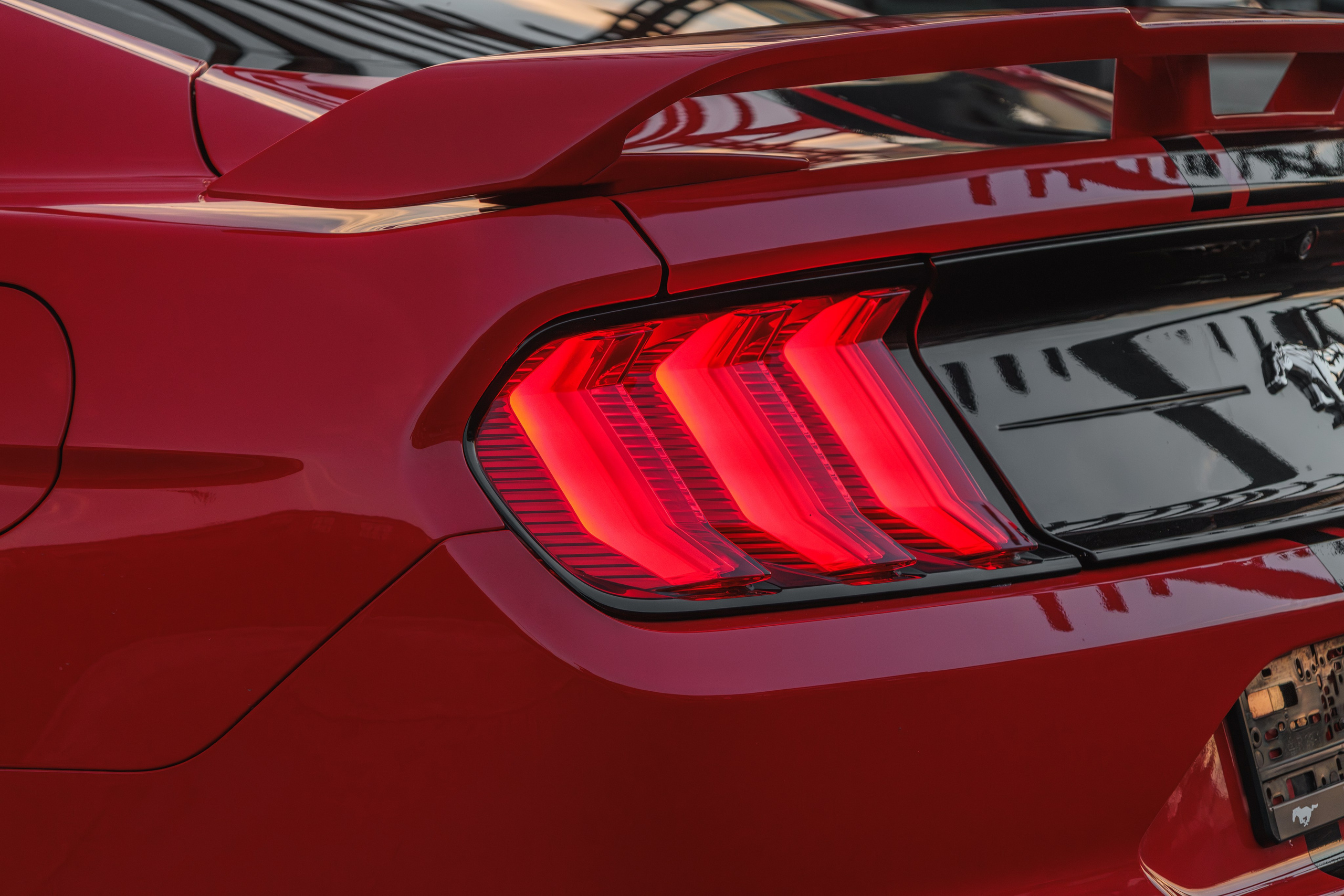 Mustang. Мелехов Дмитрий|Фотограф|Видеограф