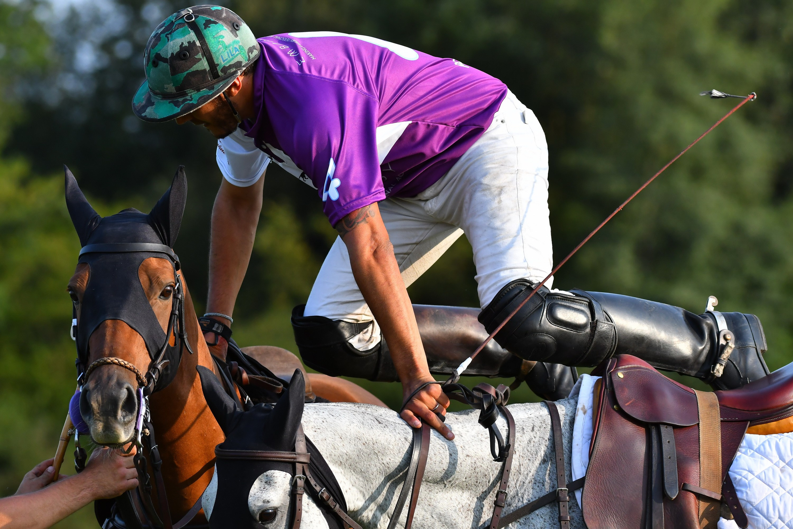 Polo art photos. Art photos of horses — ARTUR BABOEV | Photographer
