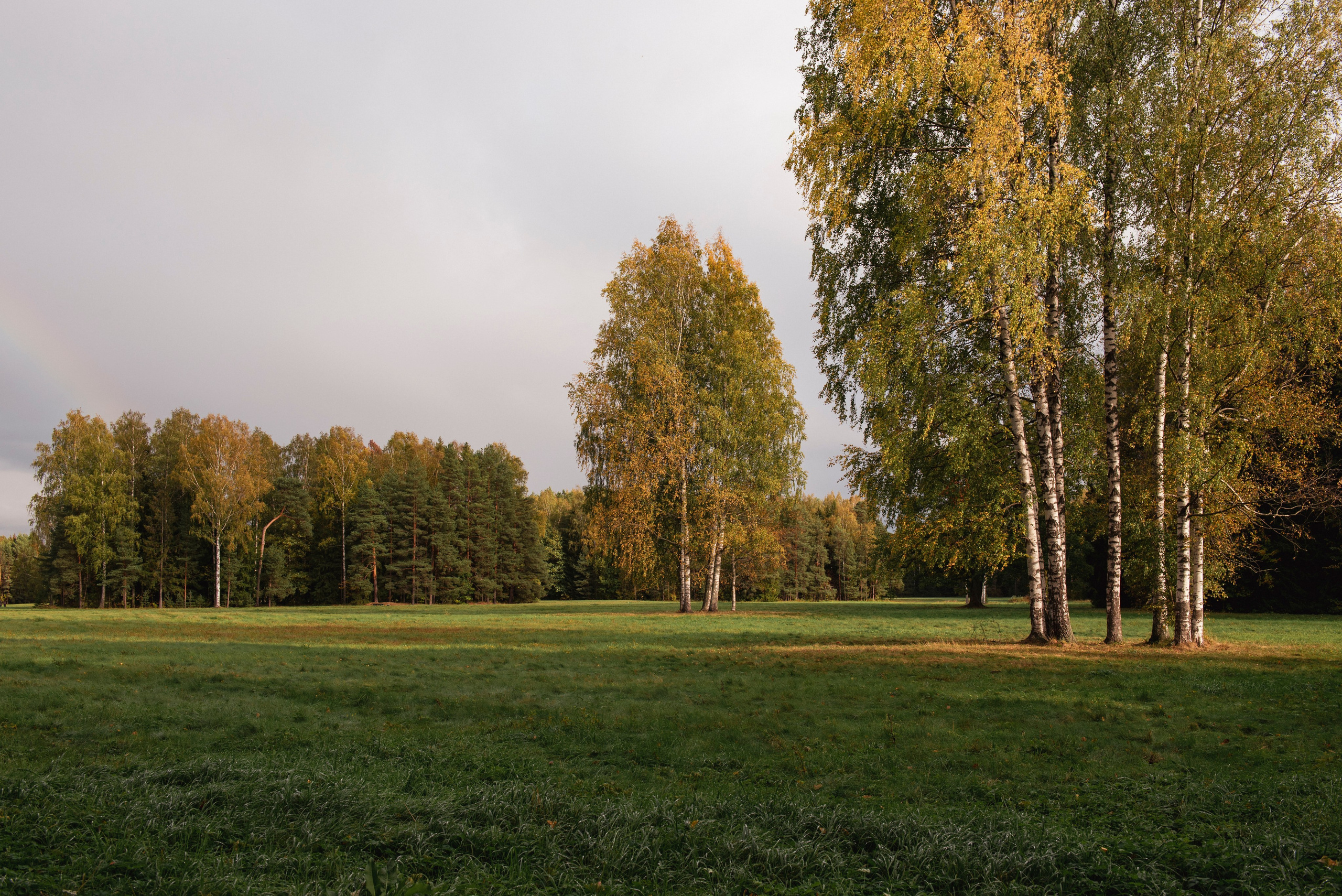 Павловский парк. Портретный и архитектурный фотограф в Москве и Санкт-Петербурге