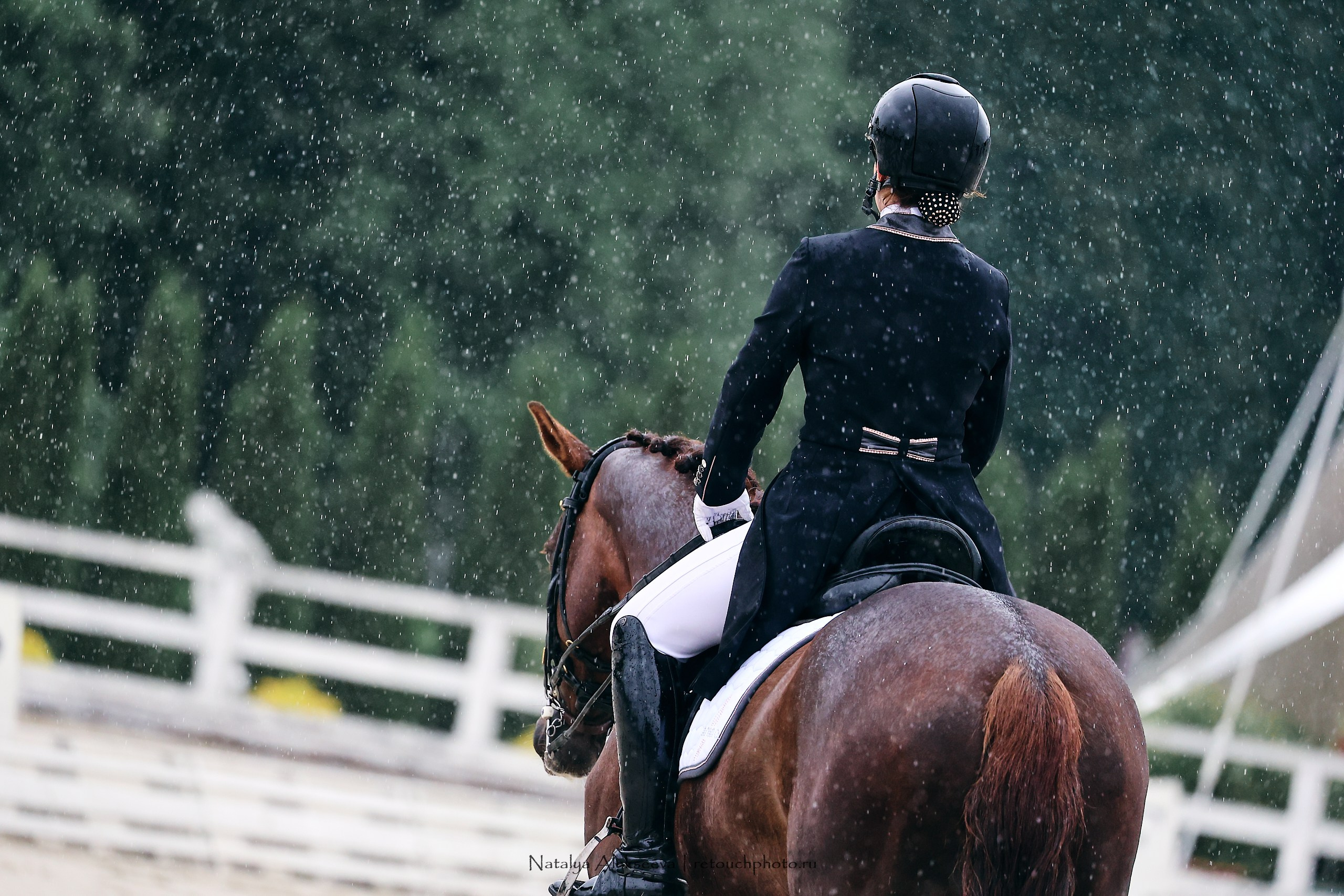Первенство России по выездке на пони, КСК Отрада | 06'2023. Репортажный фотограф и ретушер в Москве Наталья Алексеева