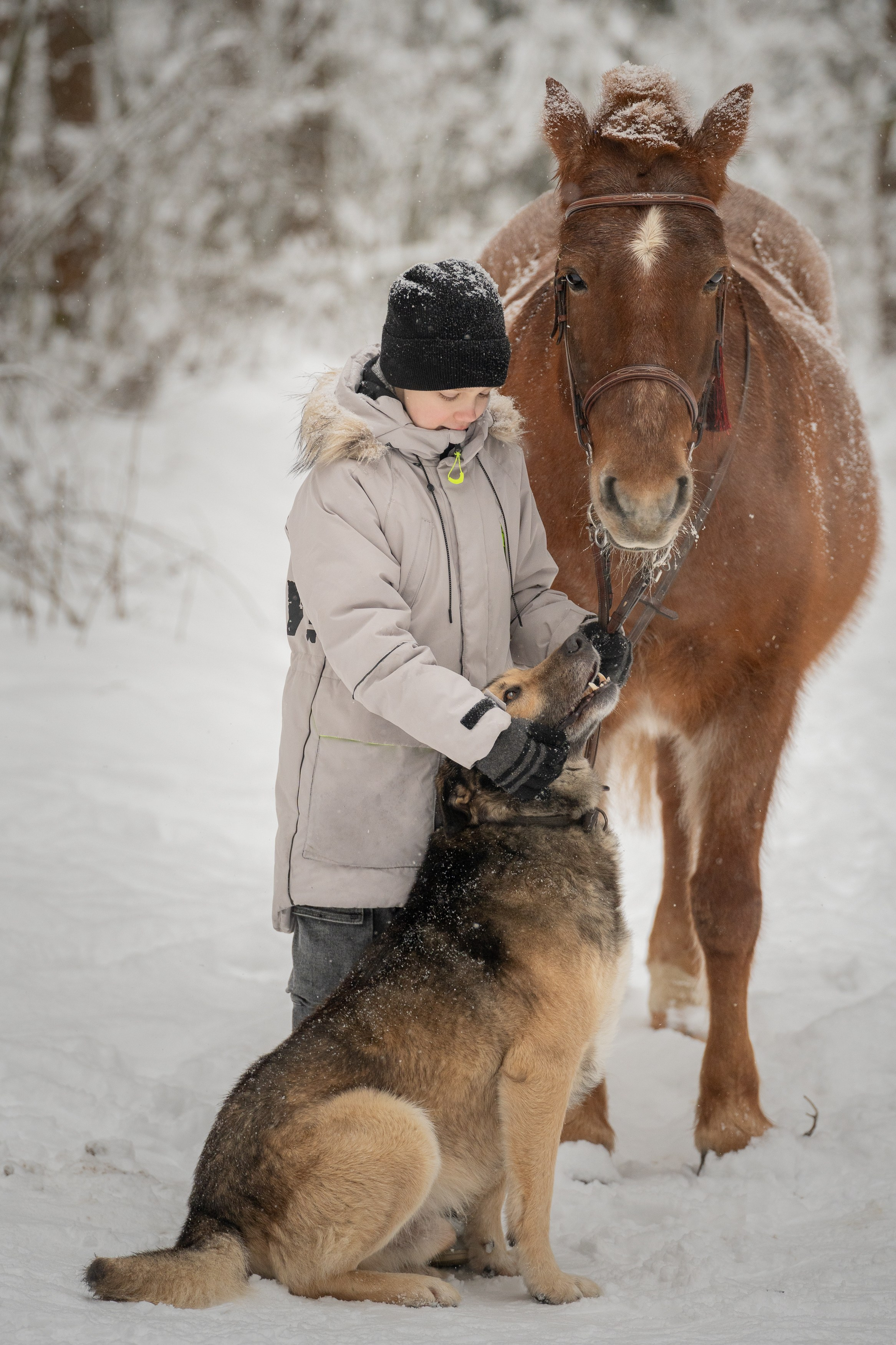 Зимняя фотосессия в лесу. Портретный фотограф Олеся Владимирова в Москве