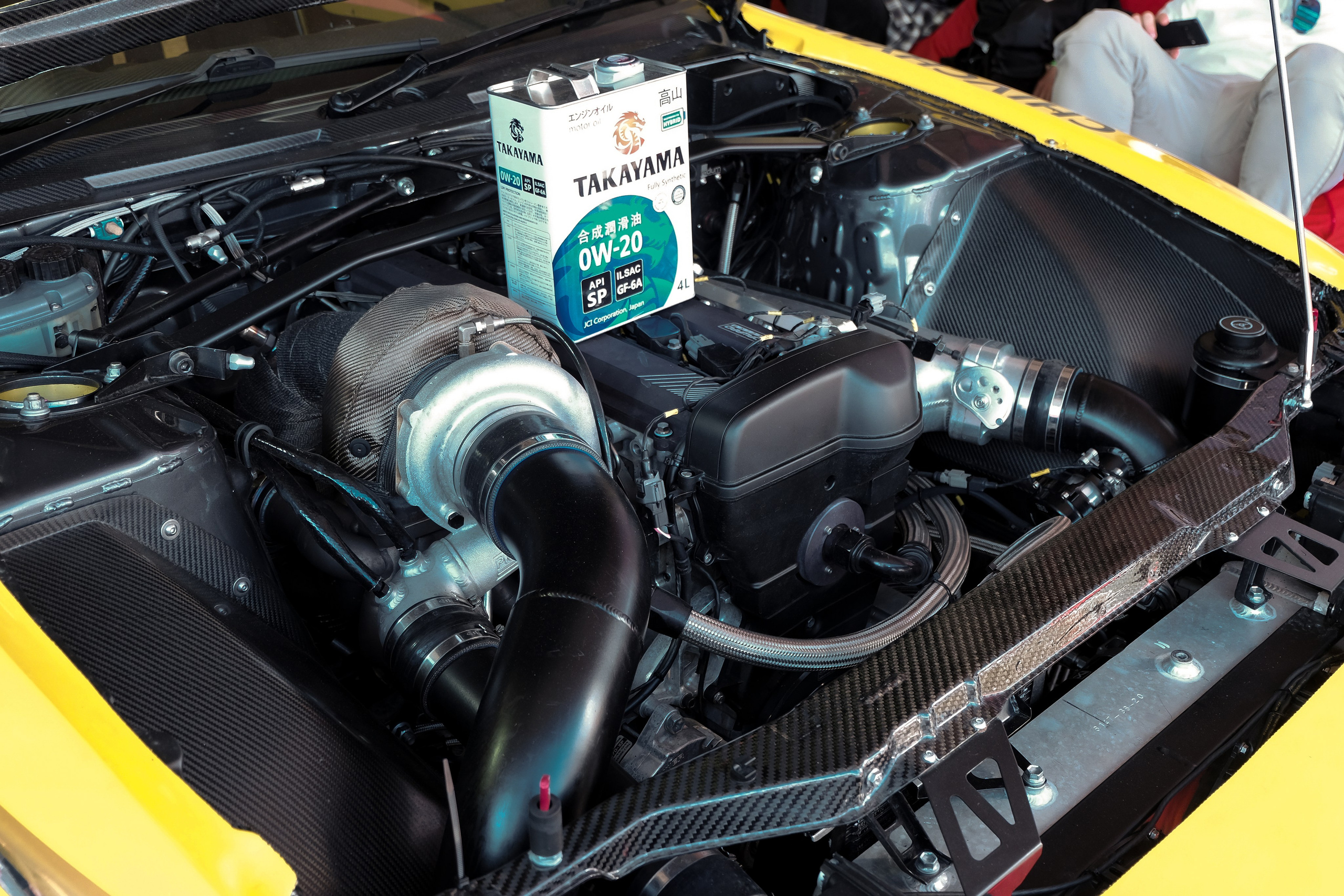 Tsunami Picnic 2024. Александр Попов