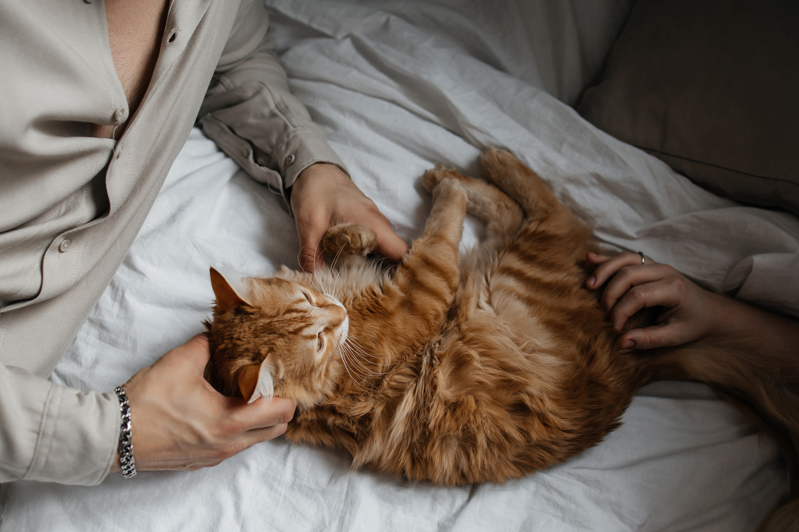 Богдан и Алёна. Свадебный и семейный фотограф в Ростове-на-Дону