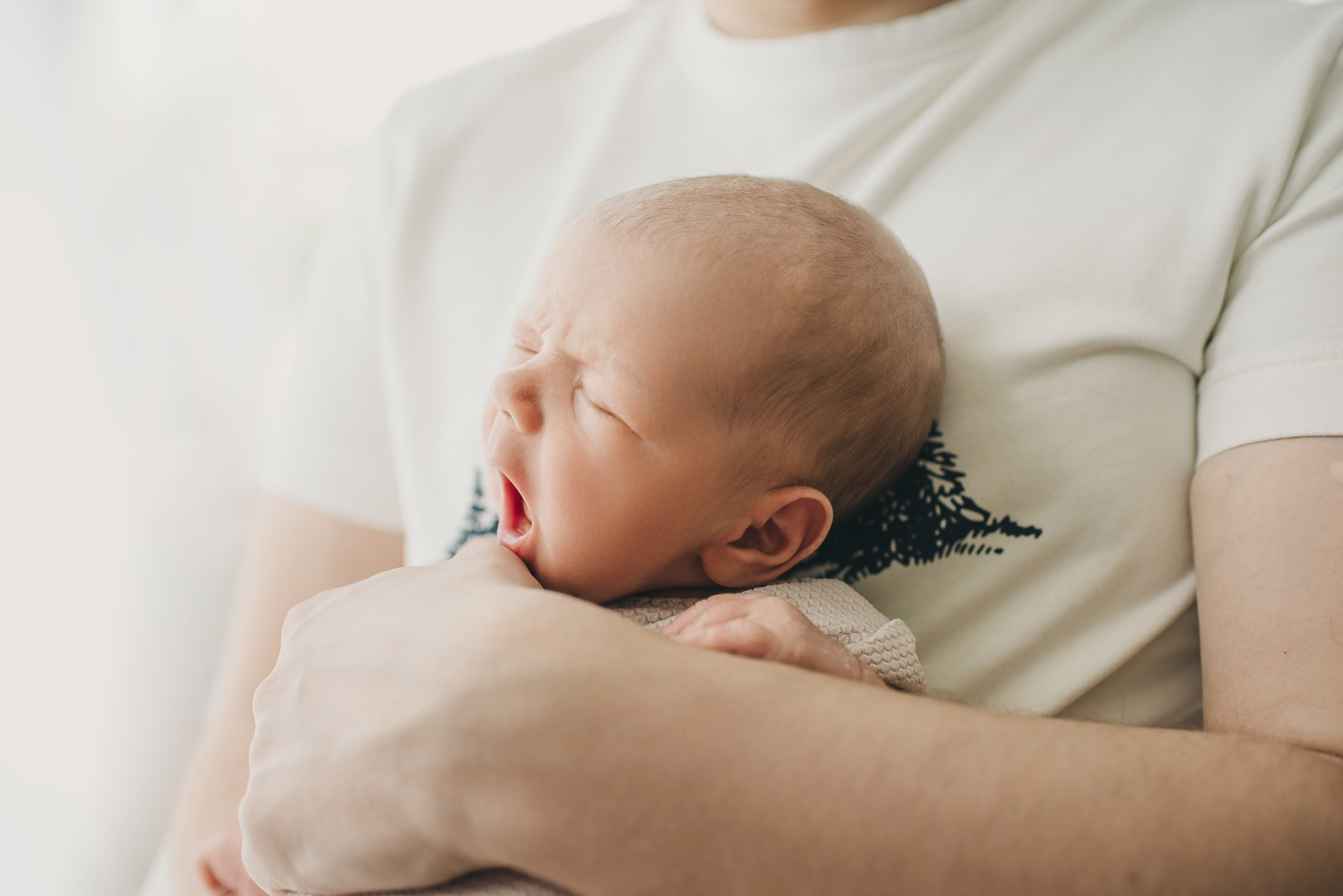 Лев. Фотограф в Москве новорожденные свадьбы семьи Дарья Ларионова