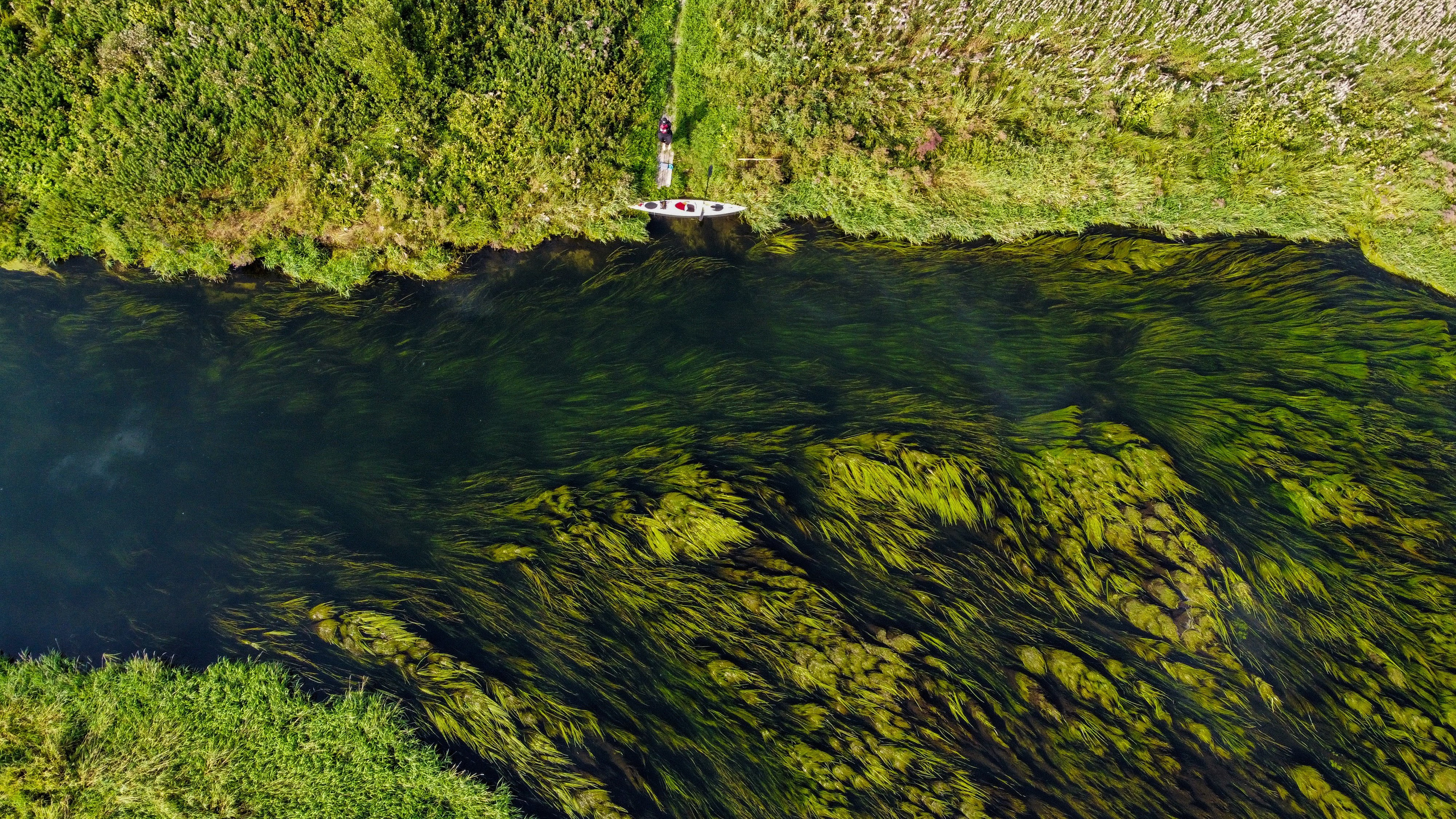 Аэросъемка. Семейный и детский фотограф в Санкт-Петербурге Антон Алексеев