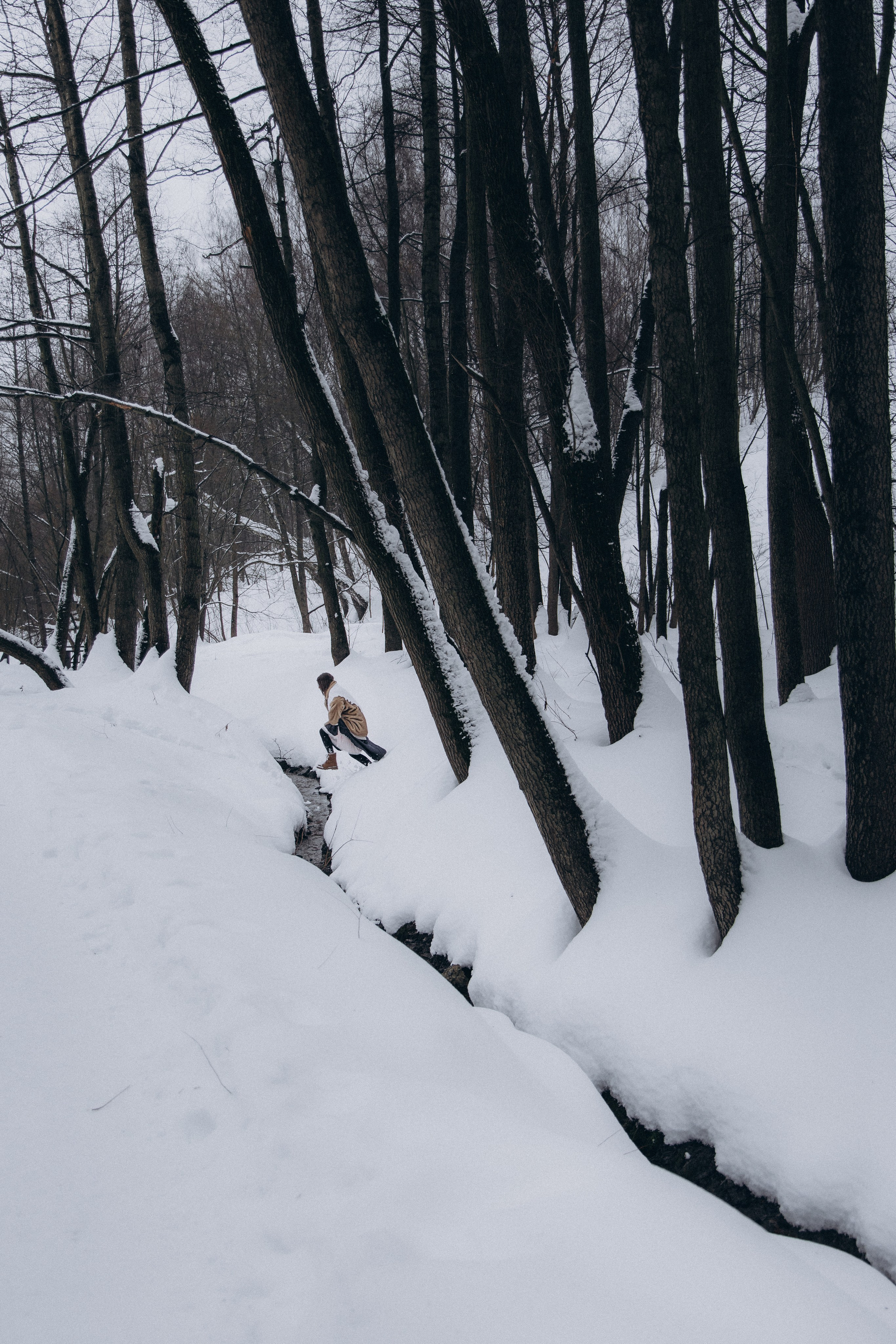 Зимнее очарование. Фотограф lifestylе в Москве Пшеничная Анастасия