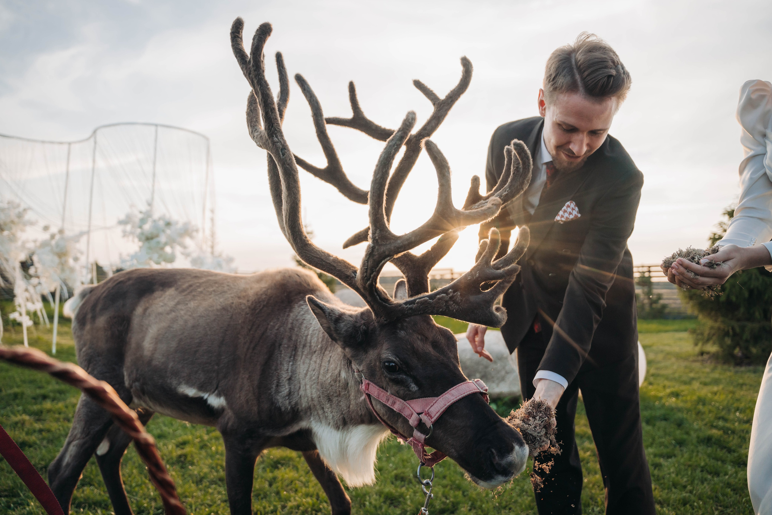 Alisa & Daniil. Свадебный фотограф в Санкт-Петербурге Якутович Екатерина