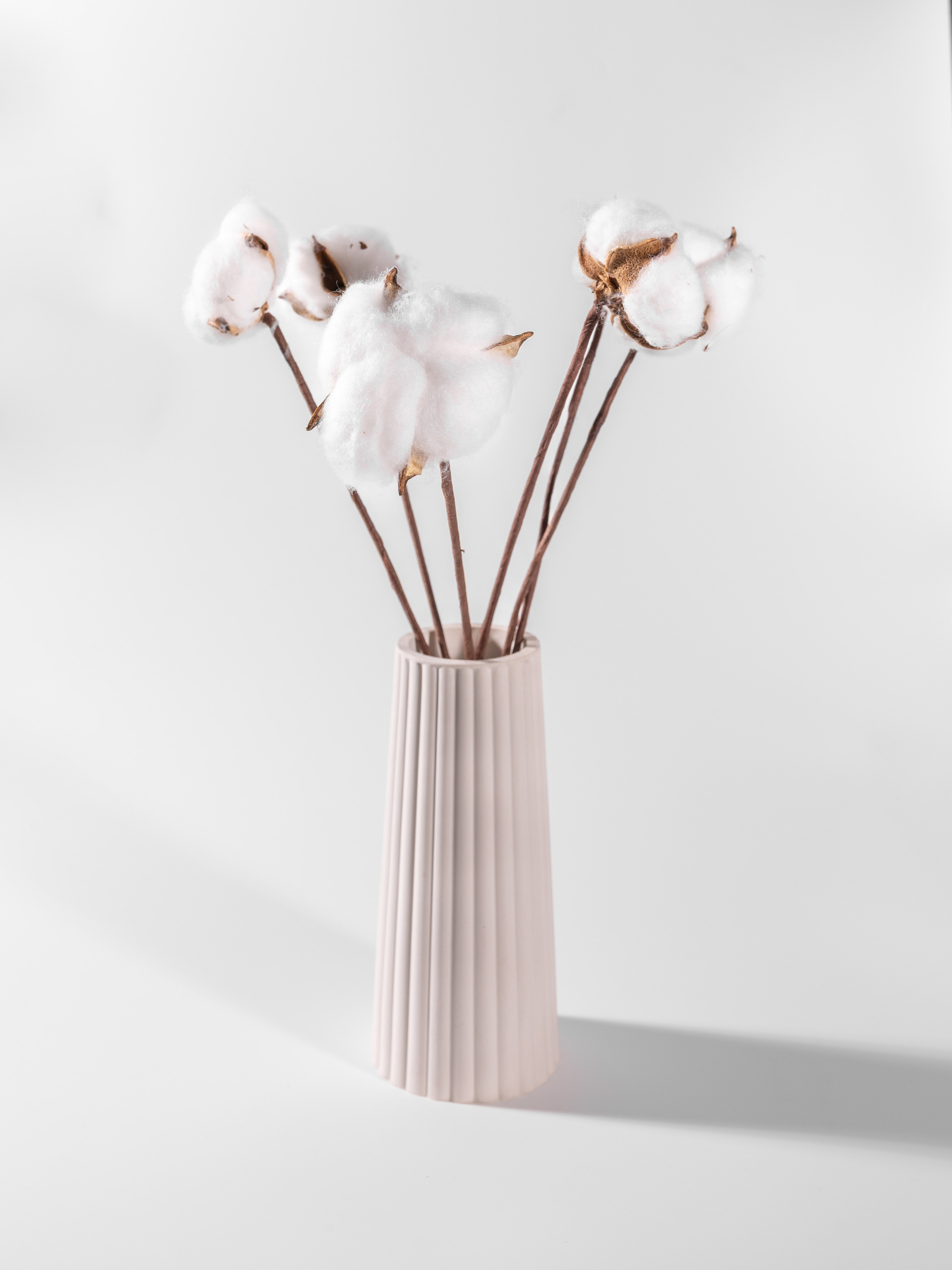 Декор. Сайт фотографа Ирины Аникановой