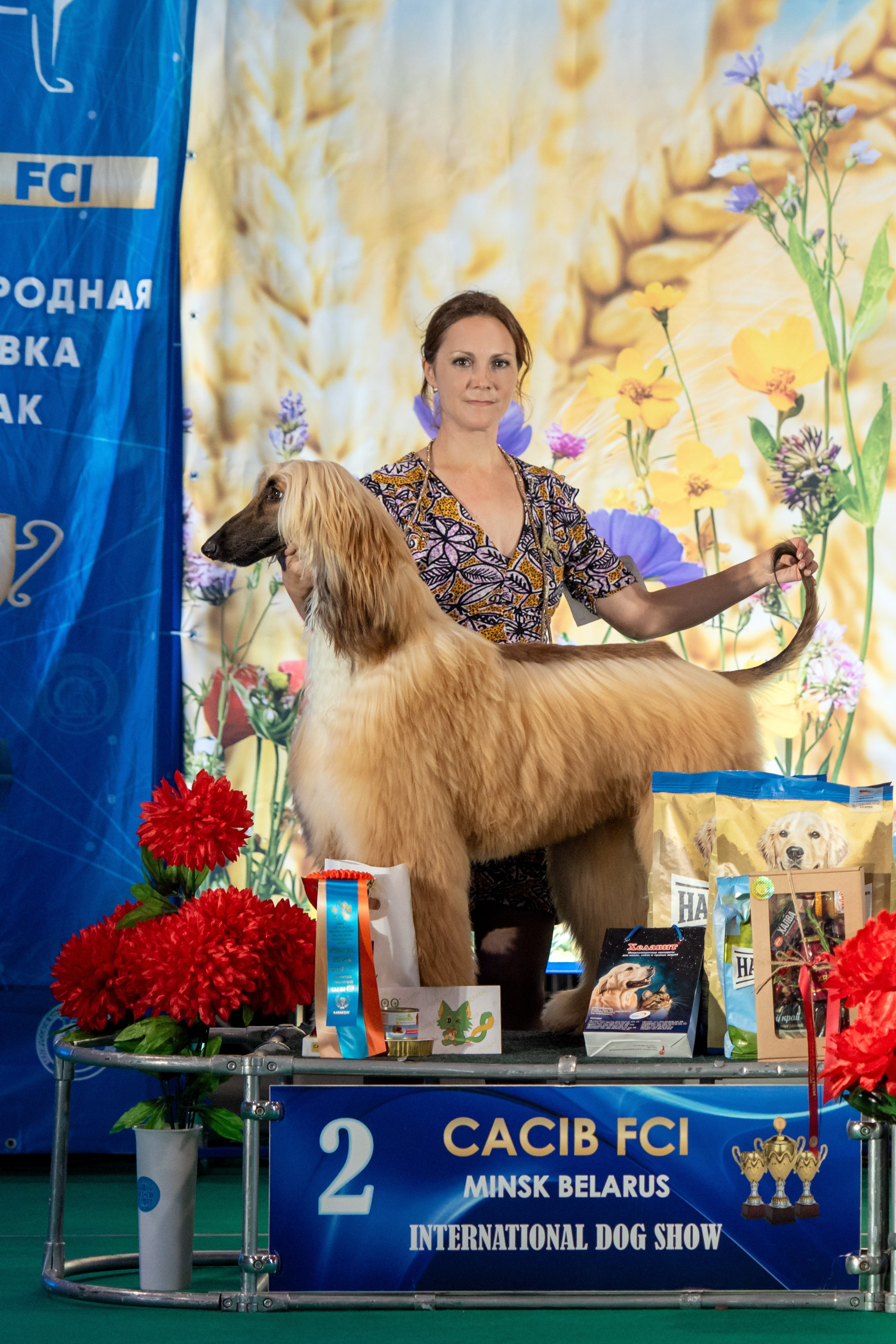 06-07.09.25 Международная выставка собак, Минск, CACIB, FCI. Галерея фотографий афганской борзой