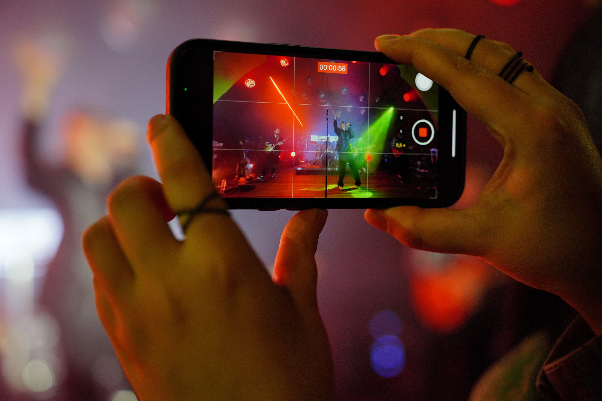 PETSHOPDAYS. Найк Борзов. Denis Kirillov