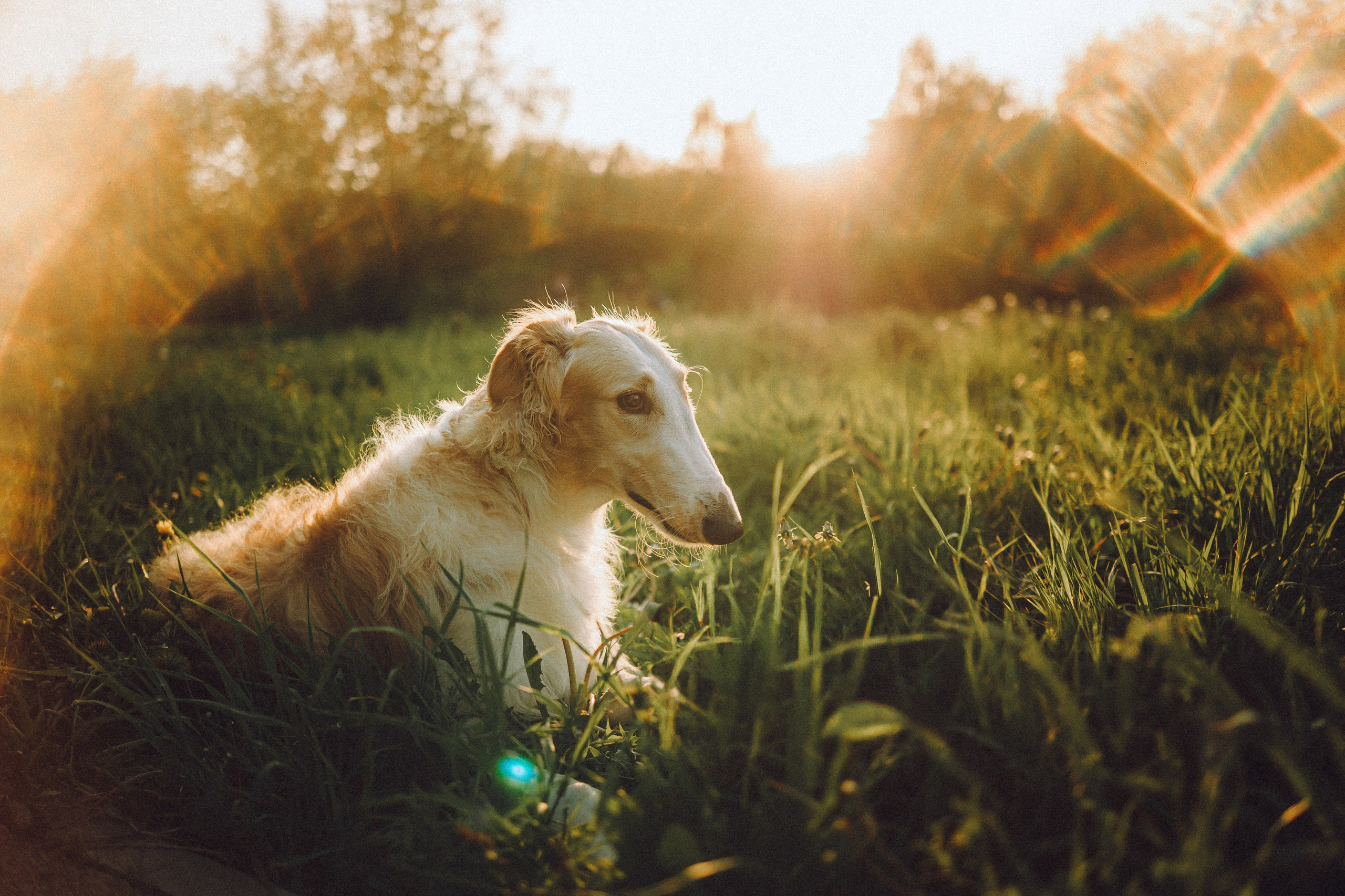 Илай, Зайка и их семья