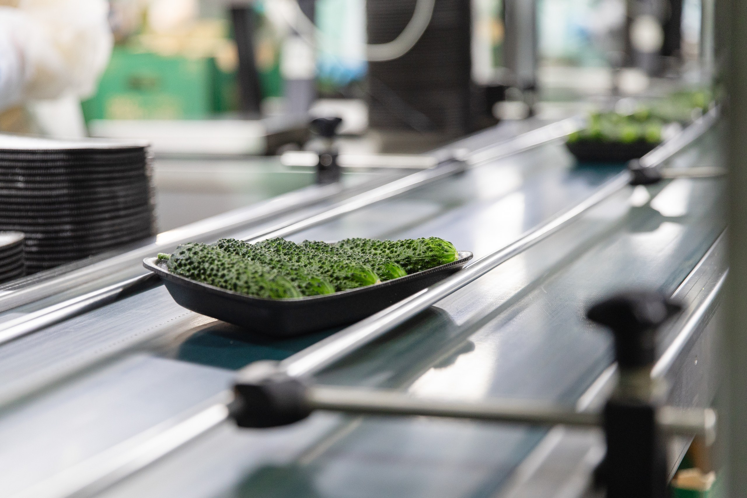 Производство. Фотограф Николай Петрушкин | Ставрополь, Москва