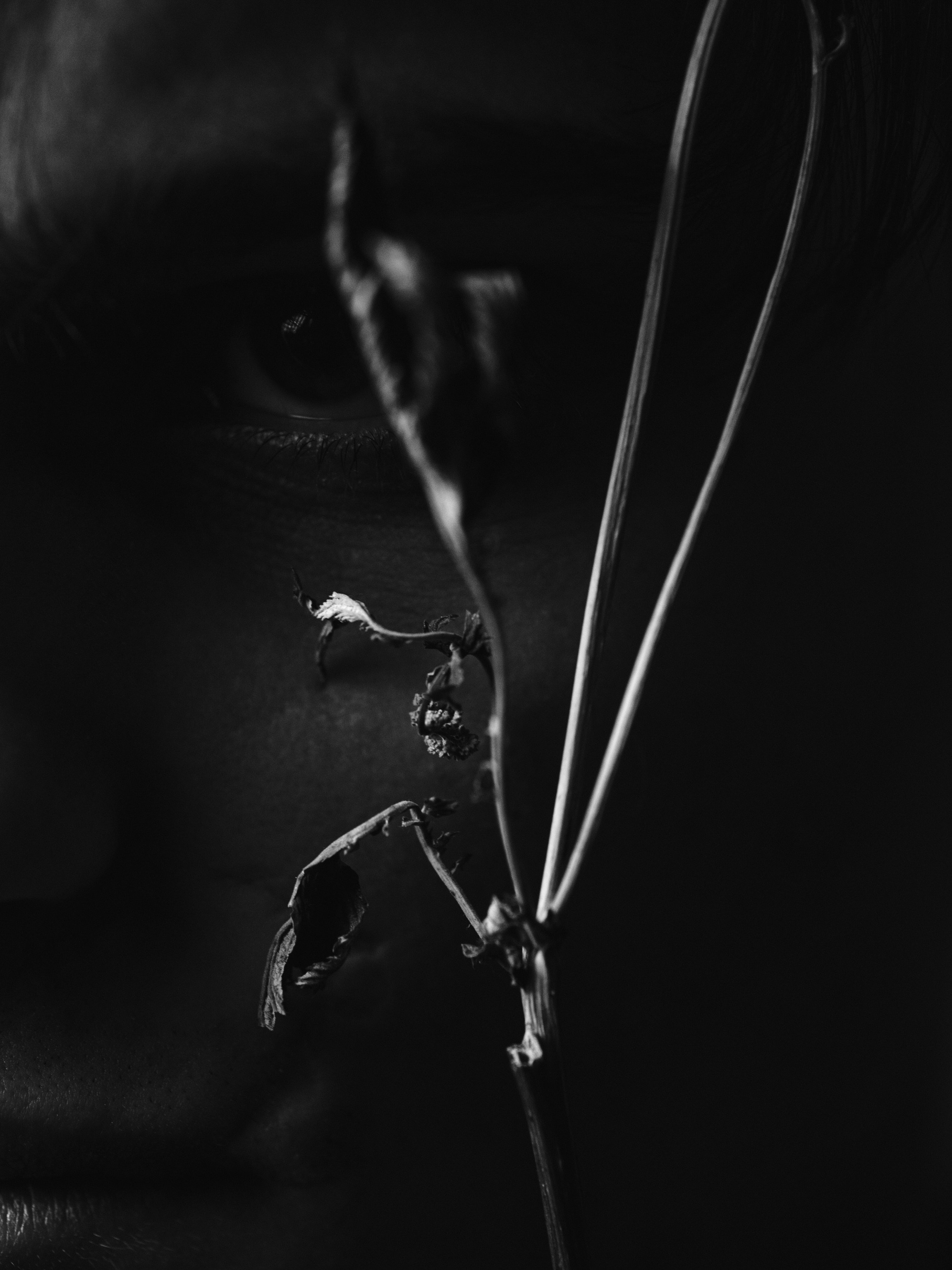 Александр. Branch. Фотограф Юлия Глазкова