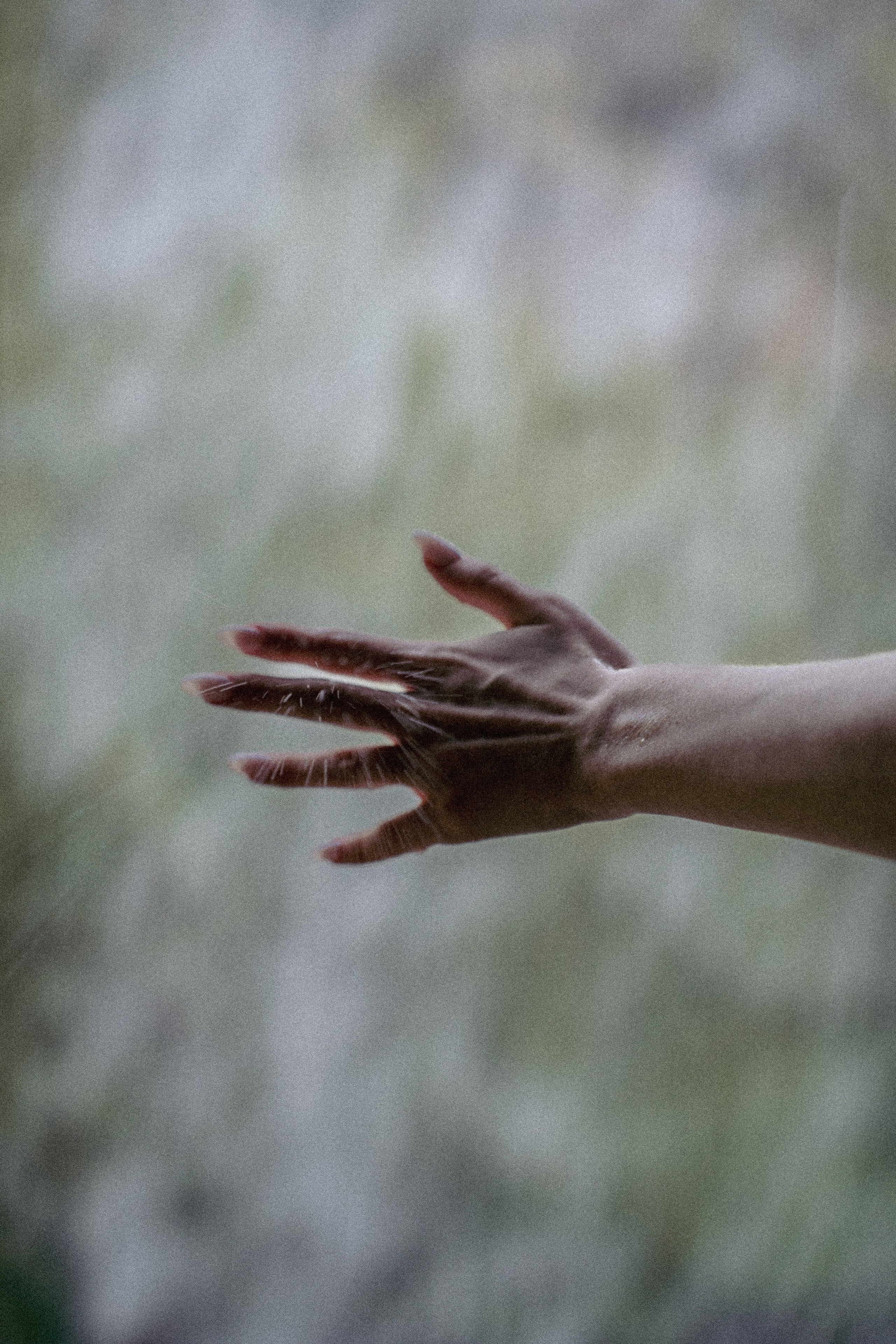 Съемка для брендов одежды КМВ Пятигорск, Железноводск, Ессентуки, Кисловодск Архыз Домбай Фотосессия. Фотограф КМВ|ГОРЫ Пятигорск Железноводск Ессентуки Кисловодск Домбай Архыз Эльбрус