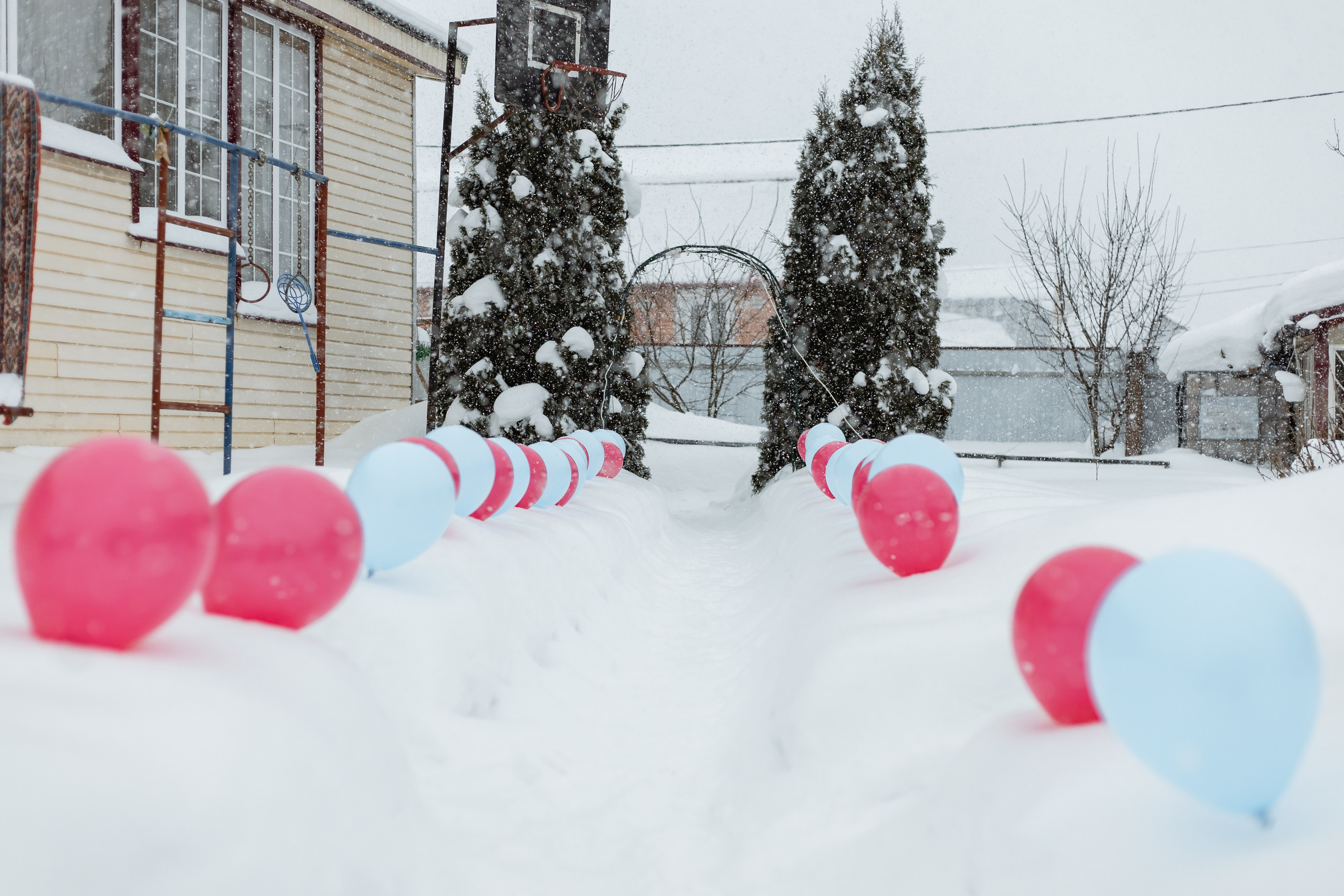 Снежное Гендер-пати. Свадебный фотограф Михаил Александров