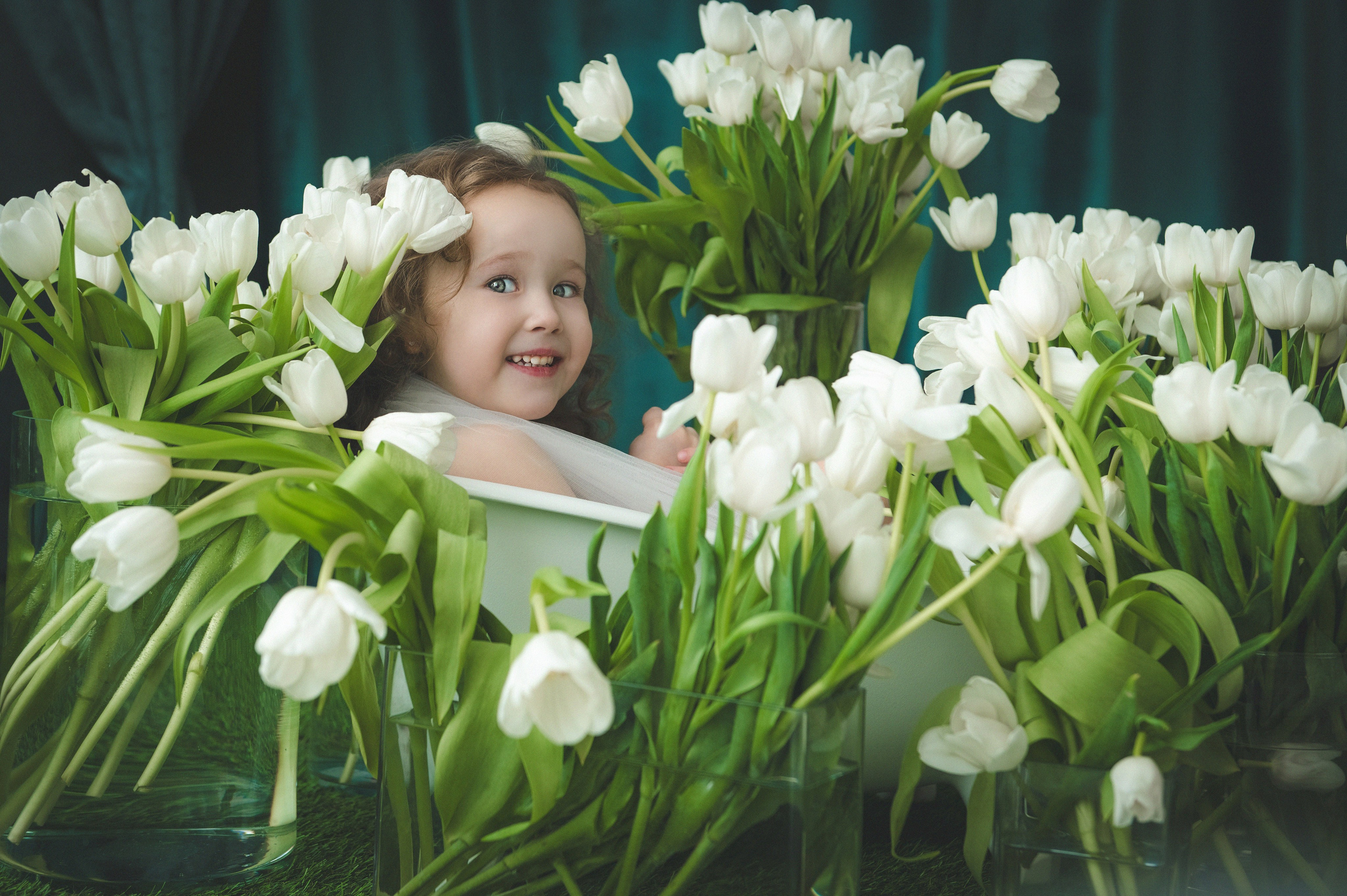 Тюльпаны. Фотограф новорожденных и детей в Барнауле — Екатерина Шапкина