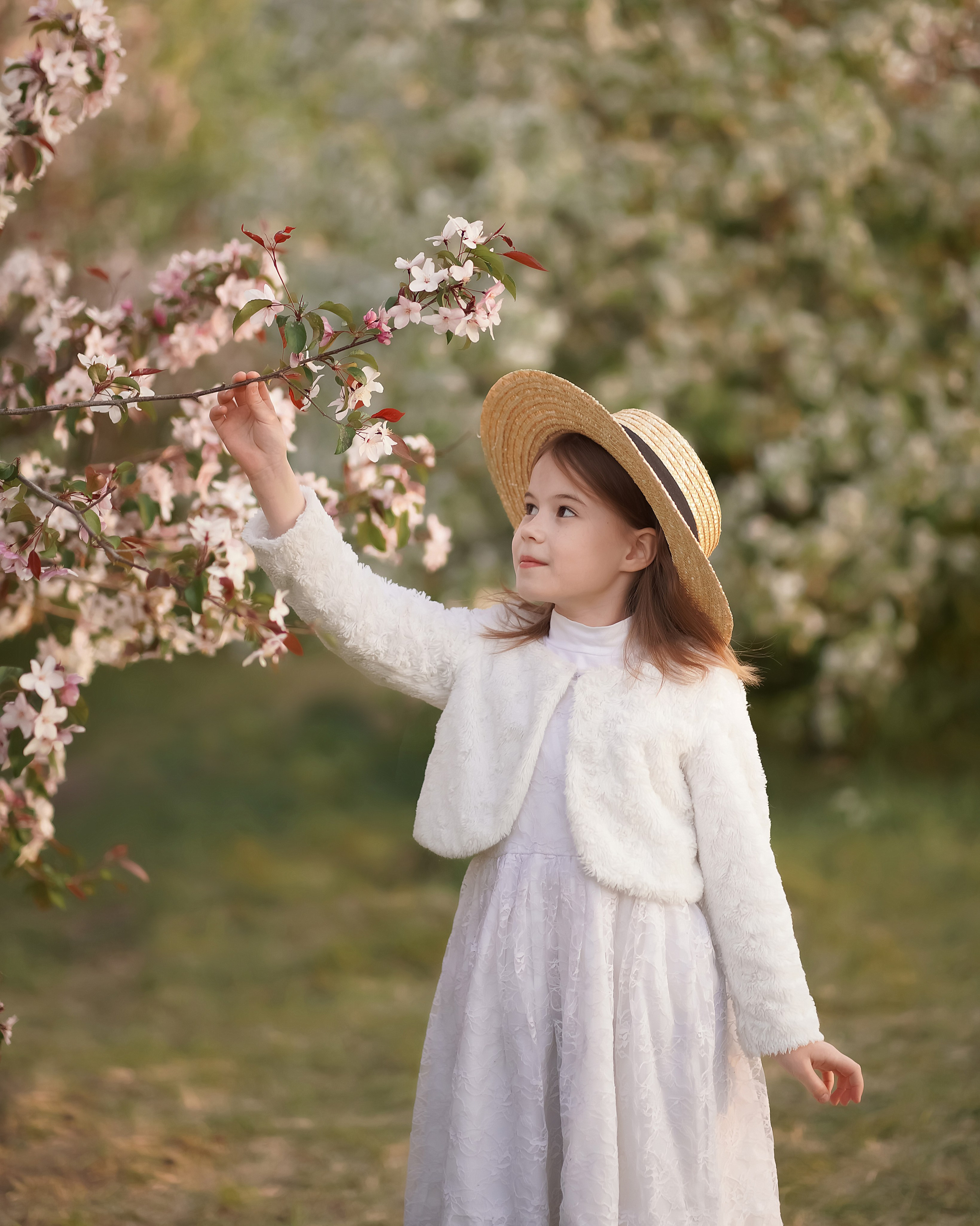 Цветение. Фотограф Татьяна Митрофанова