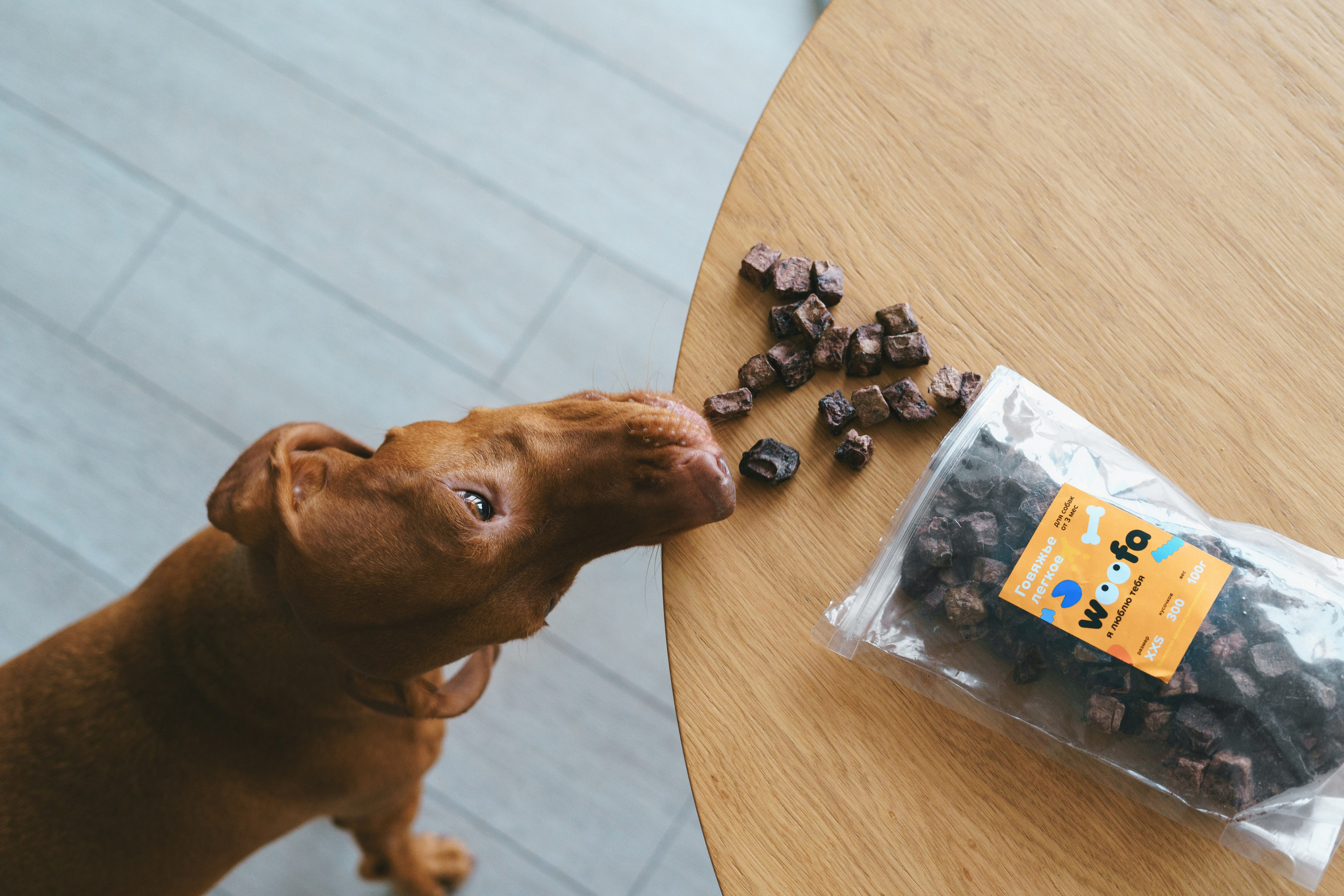 Лакомства Woofa. Фотограф анималист Осипчикова Мария