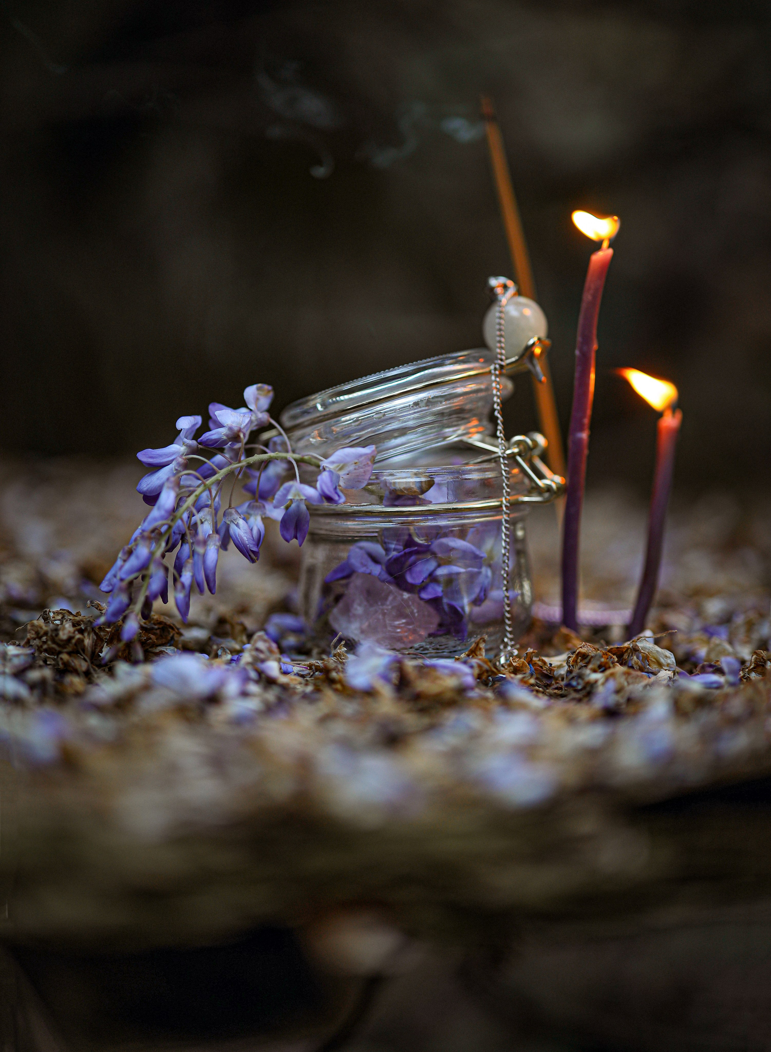 Детская фотосессия в цветущей Глицинии. Свадебный и семейный фотограф в Абхазии Жанна Соснина