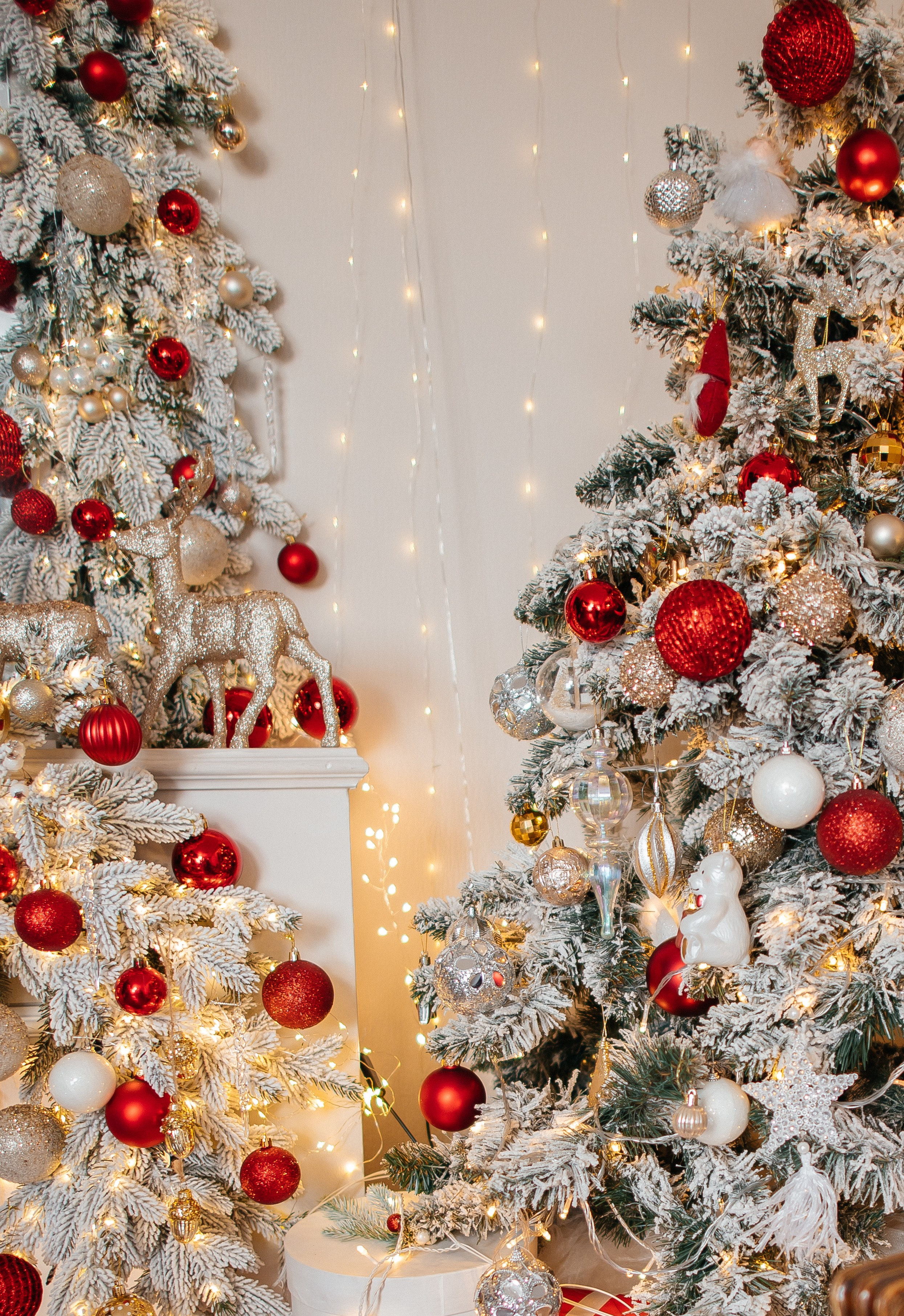 Look. Свадебный фотограф в новокузнецке