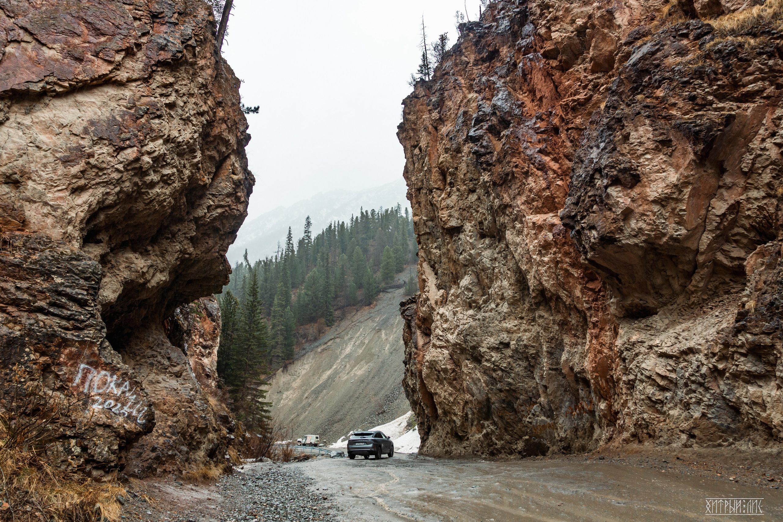 Алтай. Фотограф-путешественник Самойлов Максим «Sly Fox»