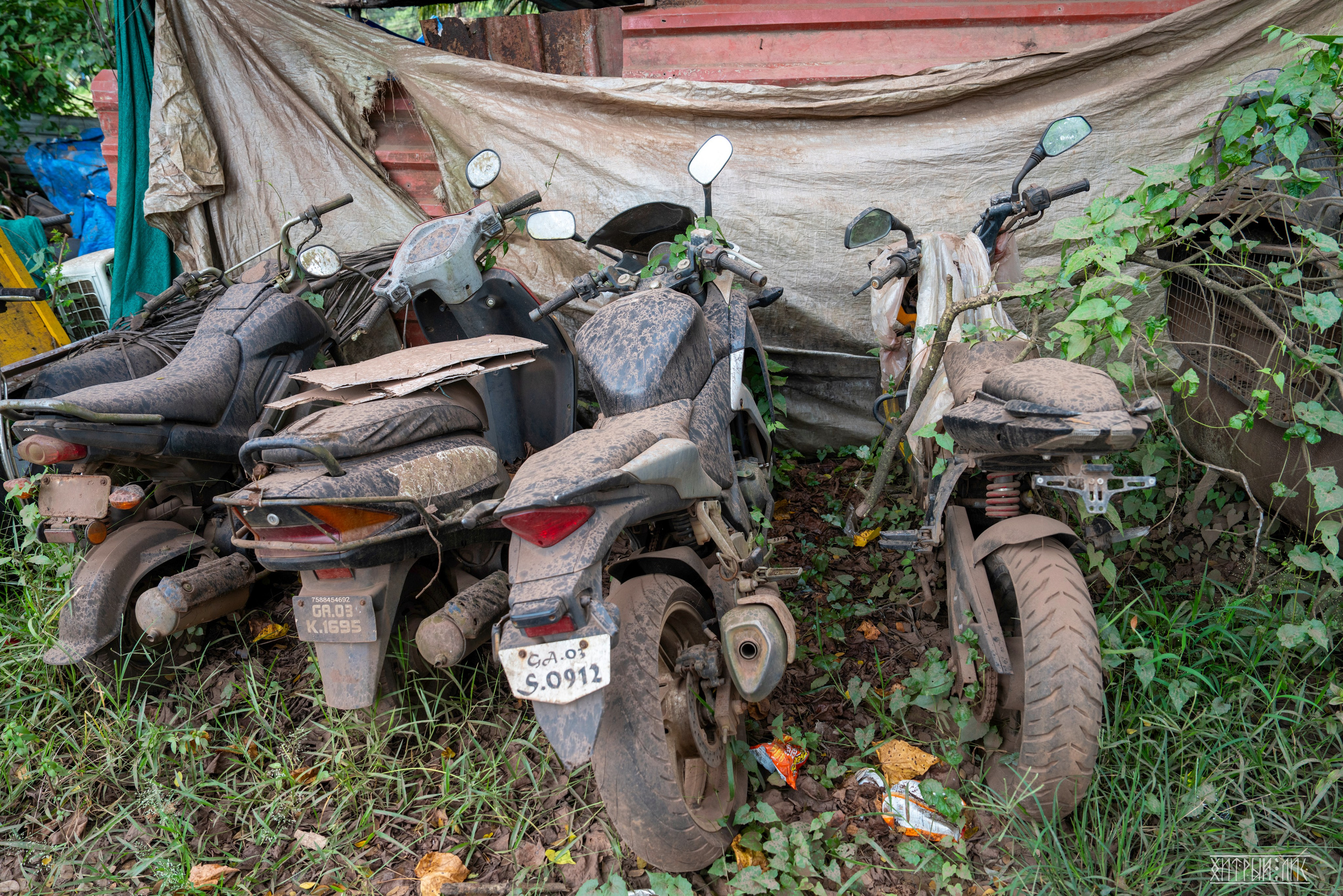 Гоа-Мумбаи. Фотограф-путешественник Самойлов Максим «Sly Fox»