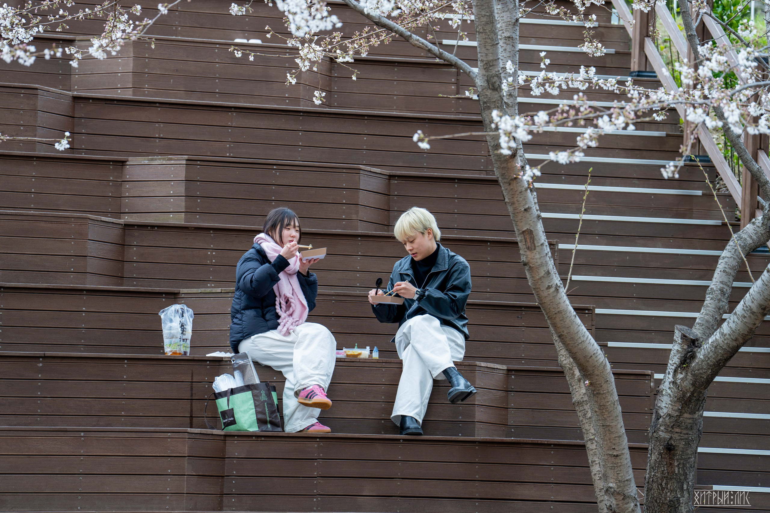 Южная Корея. Фотограф-путешественник Самойлов Максим «Sly Fox»