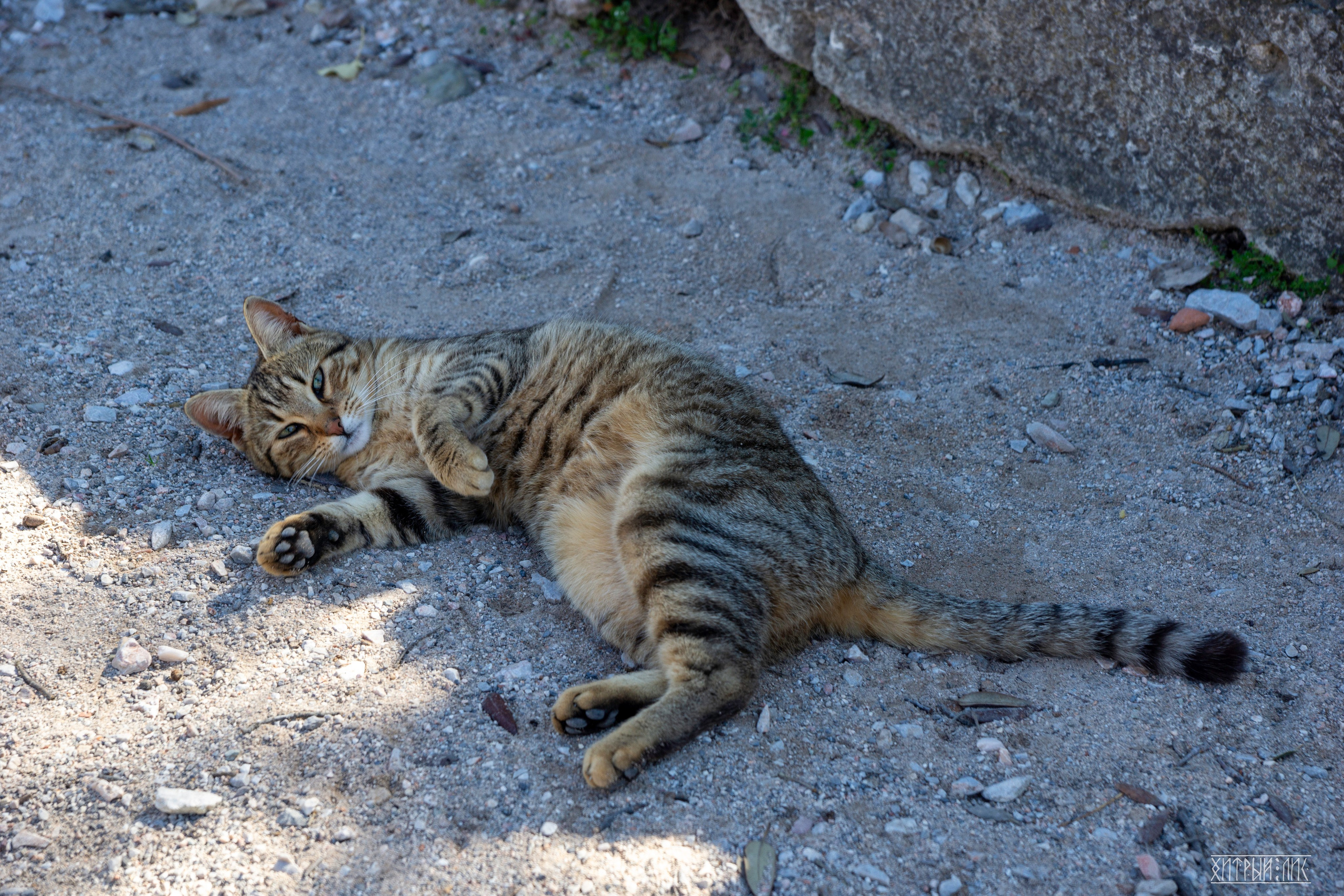 Афины. Фотограф-путешественник Самойлов Максим «Sly Fox»
