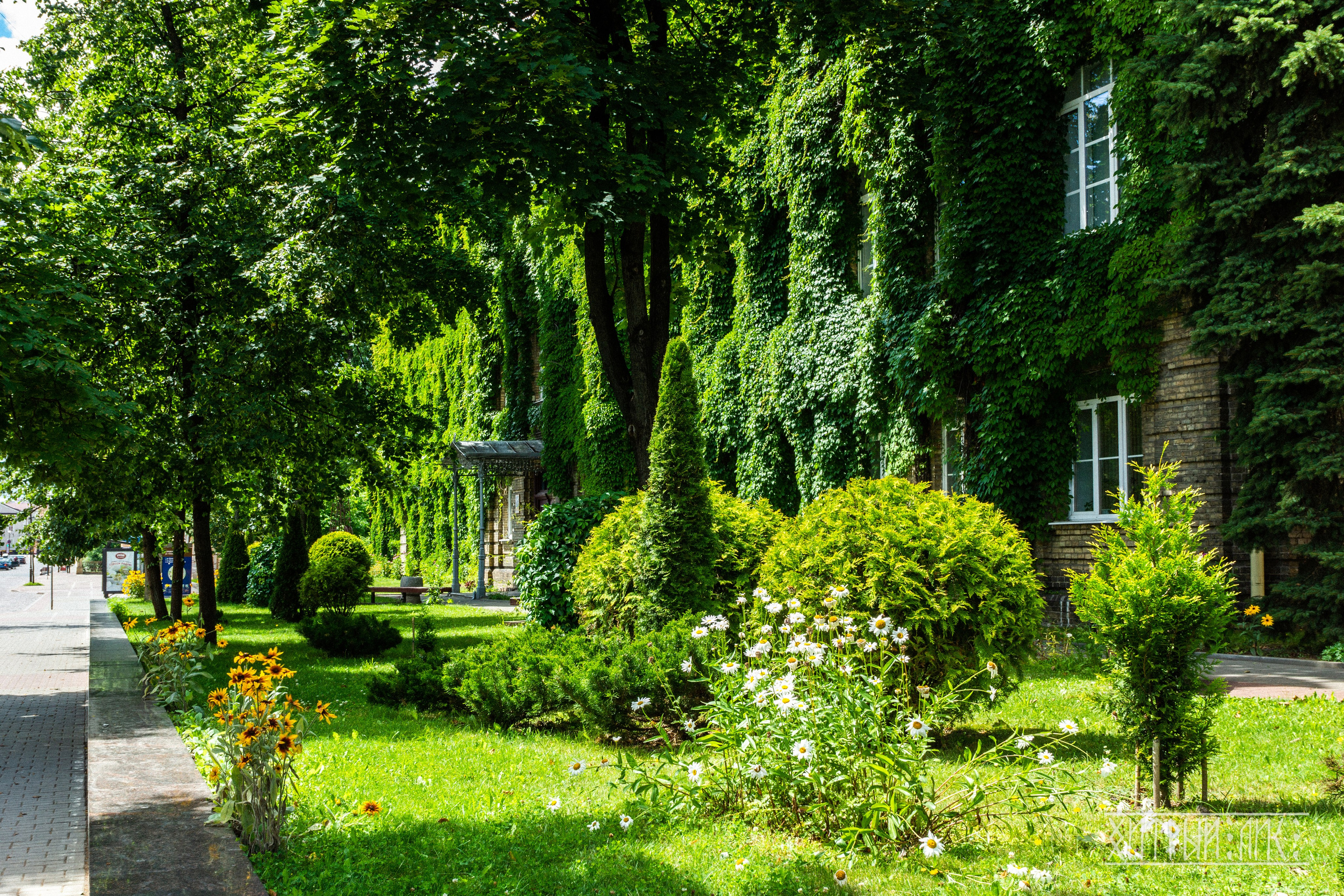 Беларусь. Фотограф-путешественник Самойлов Максим «Sly Fox»