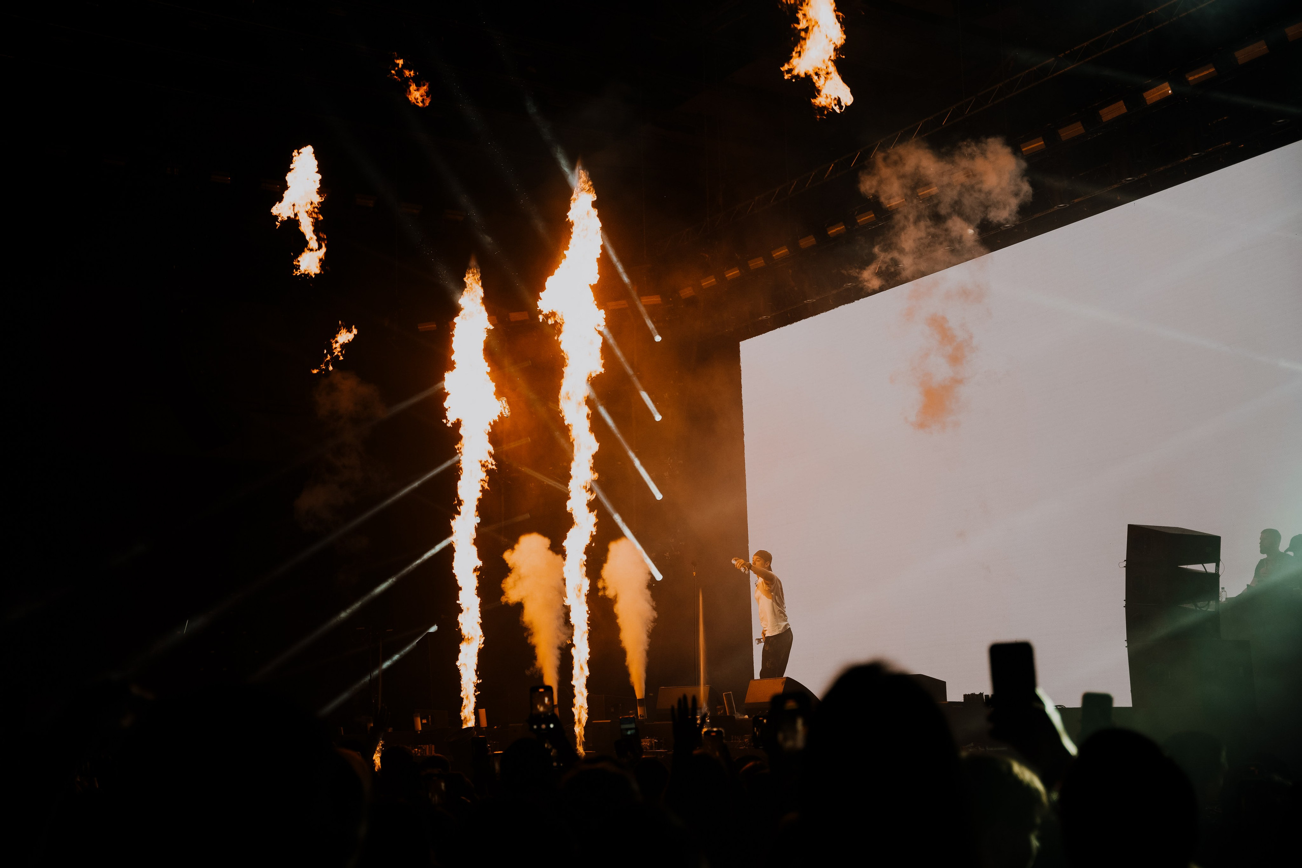 MACAN. Фотограф Москва