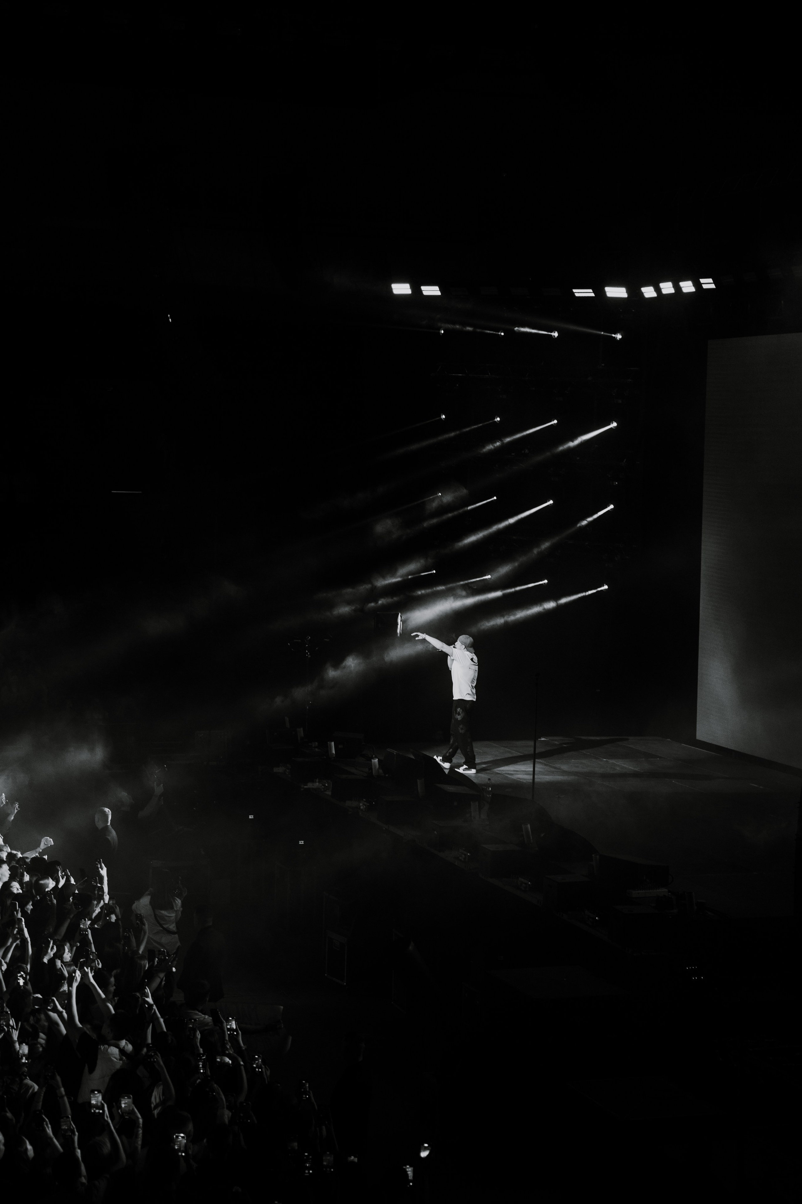 MACAN. Фотограф Москва