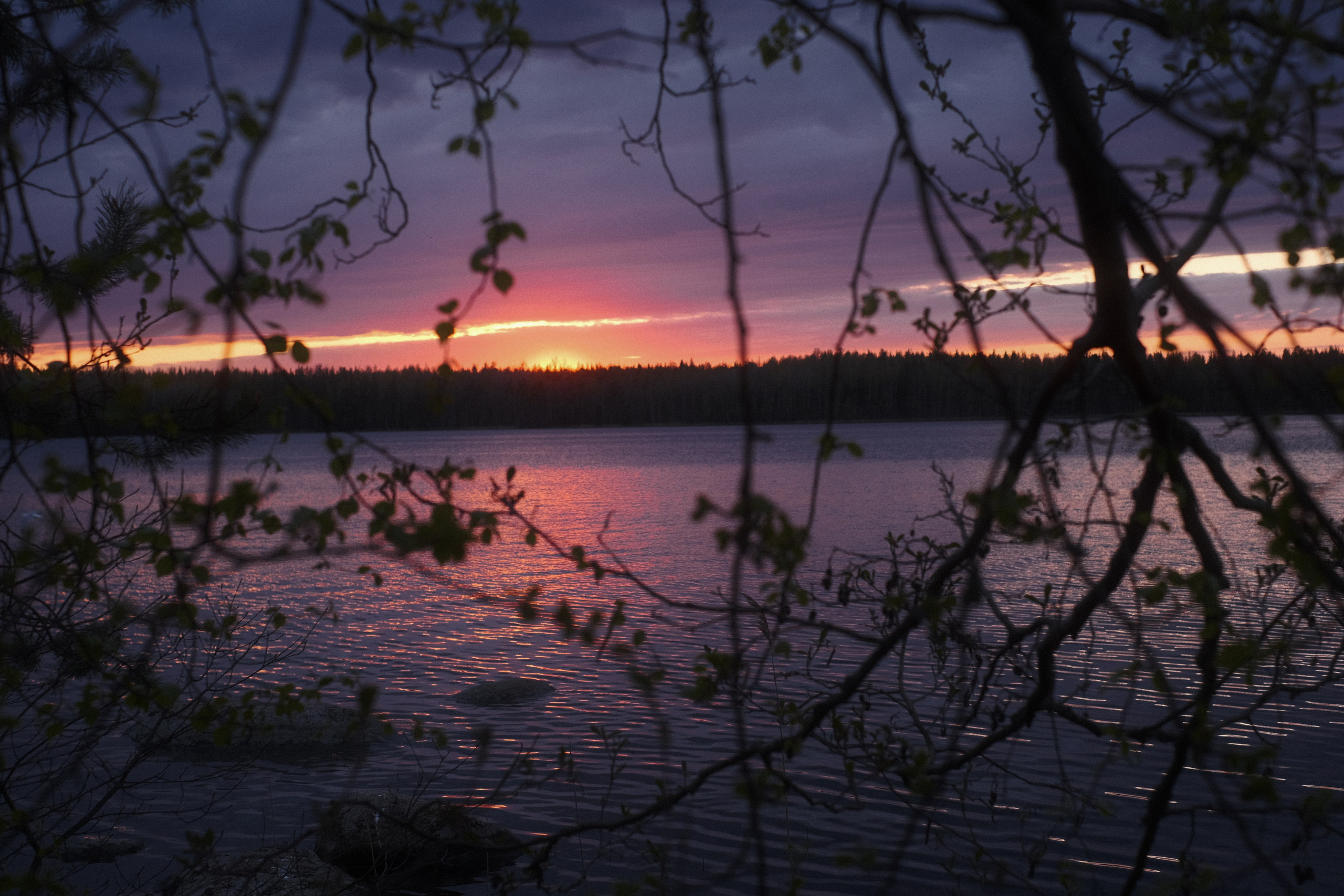 Весеннее заходское