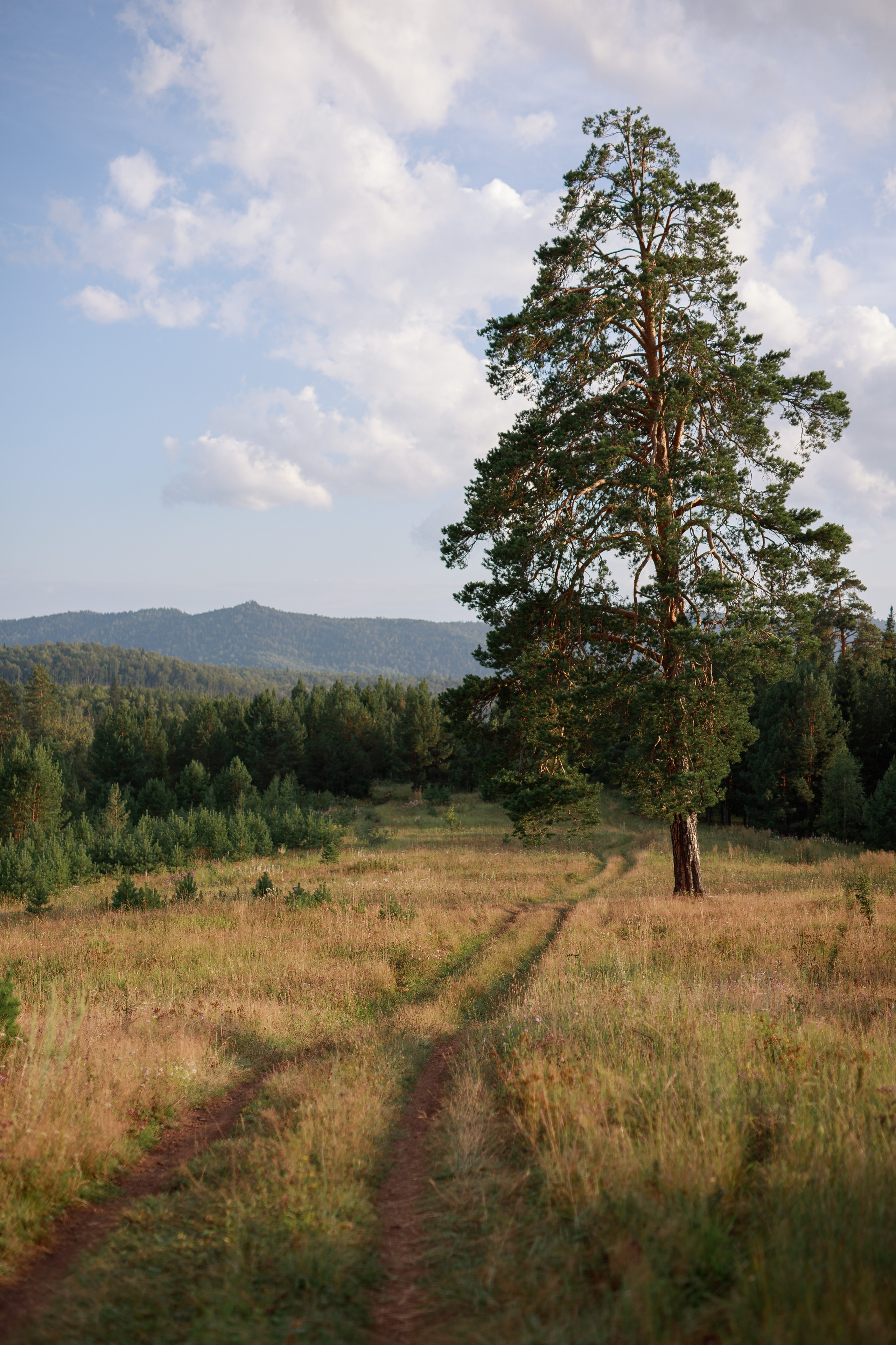 Ксения. Фотограф Анастасия Петрова