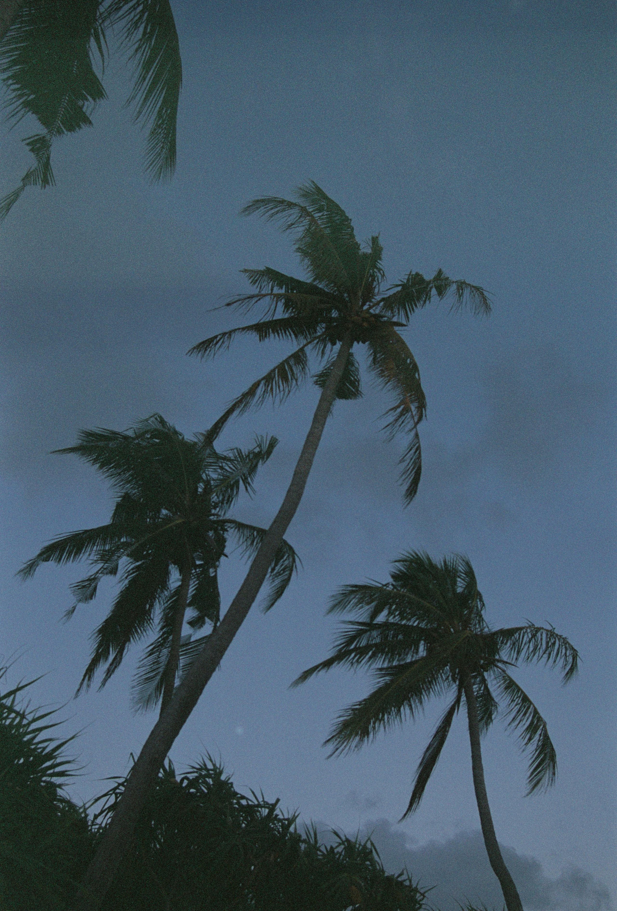 MALDIVES&BAHRAIN. ANNA — PHOTOGRAPHER