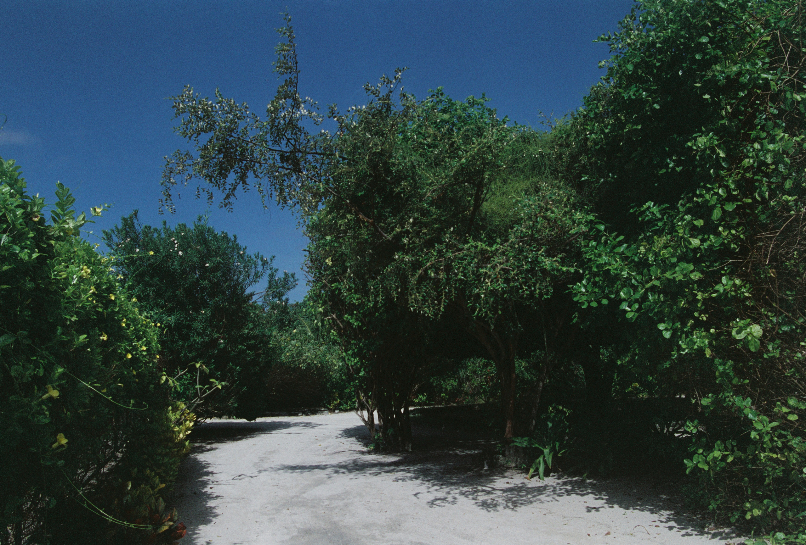 MALDIVES&BAHRAIN. ANNA — PHOTOGRAPHER