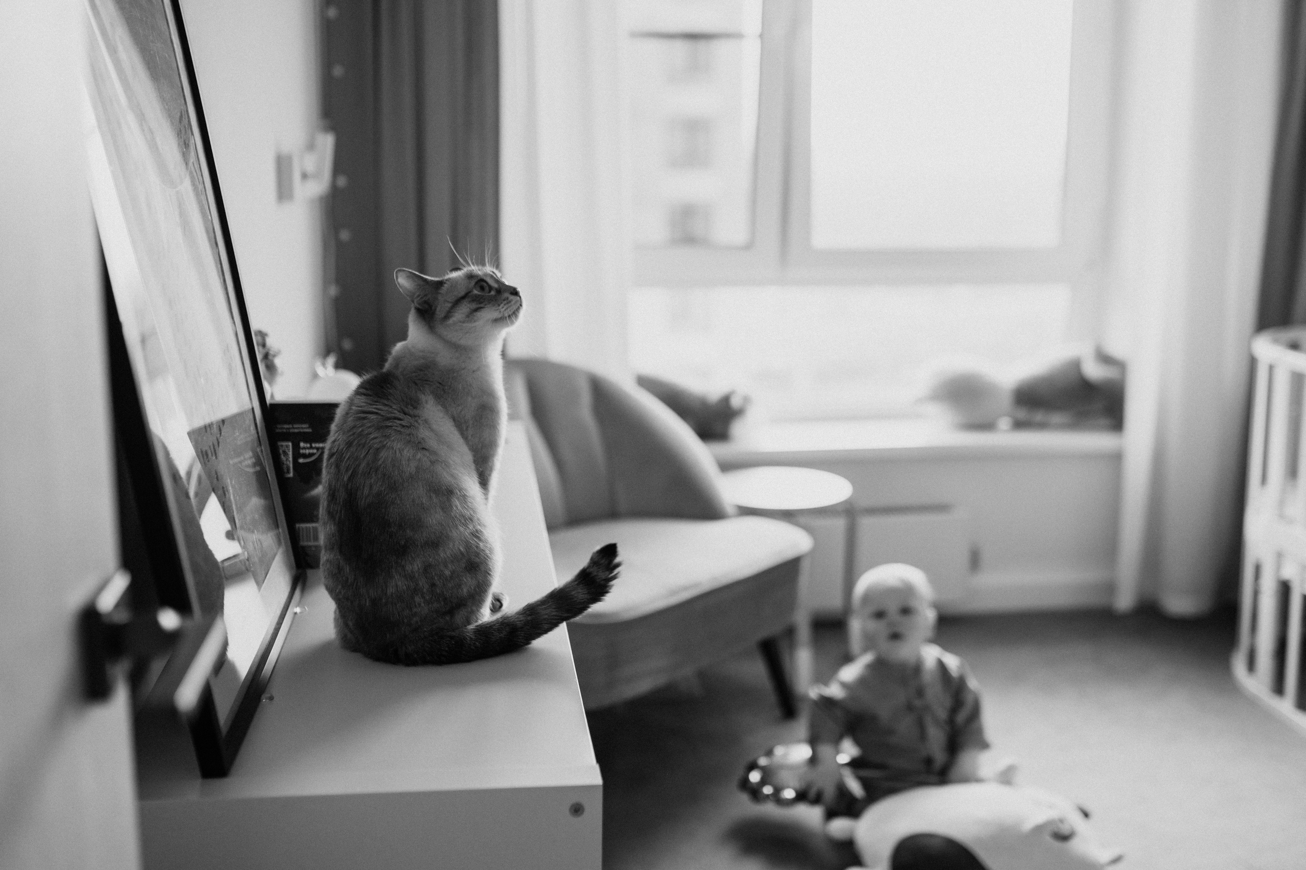 Костя. Семейный фотограф Москва
