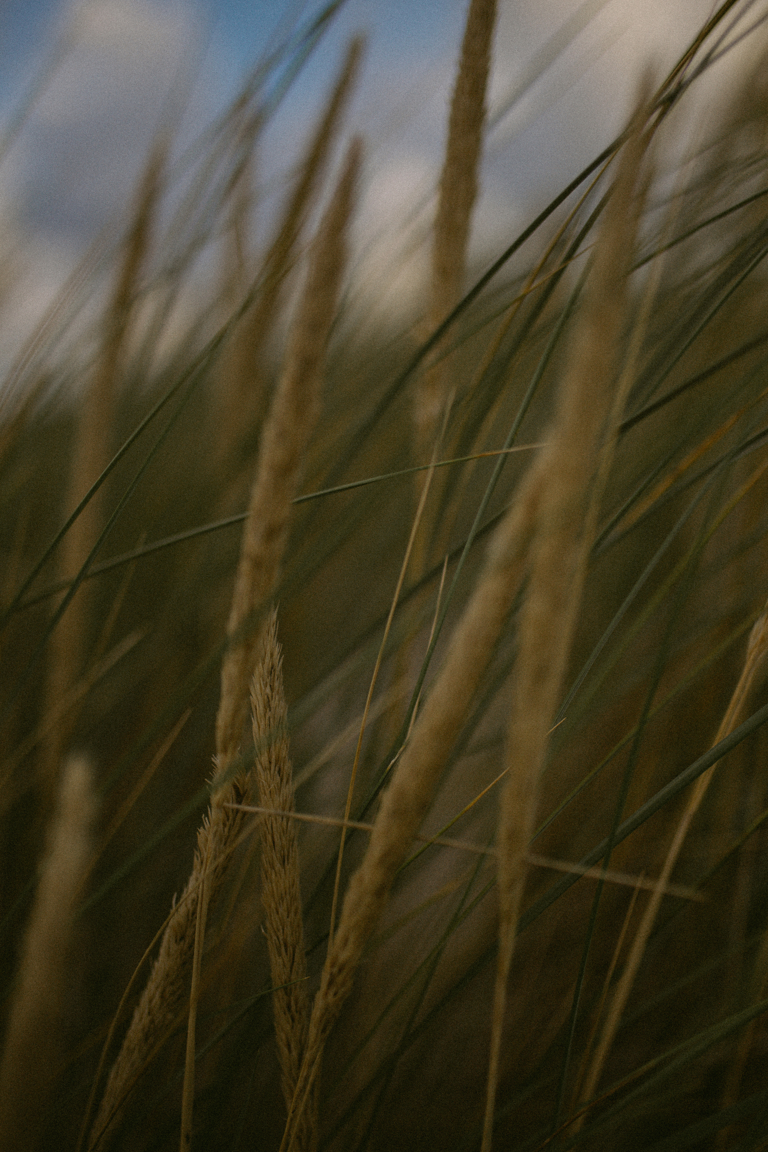 Yulia and Nikita. Photographer and Blogger in Kaliningrad, as well as around the world — Anton Semenov